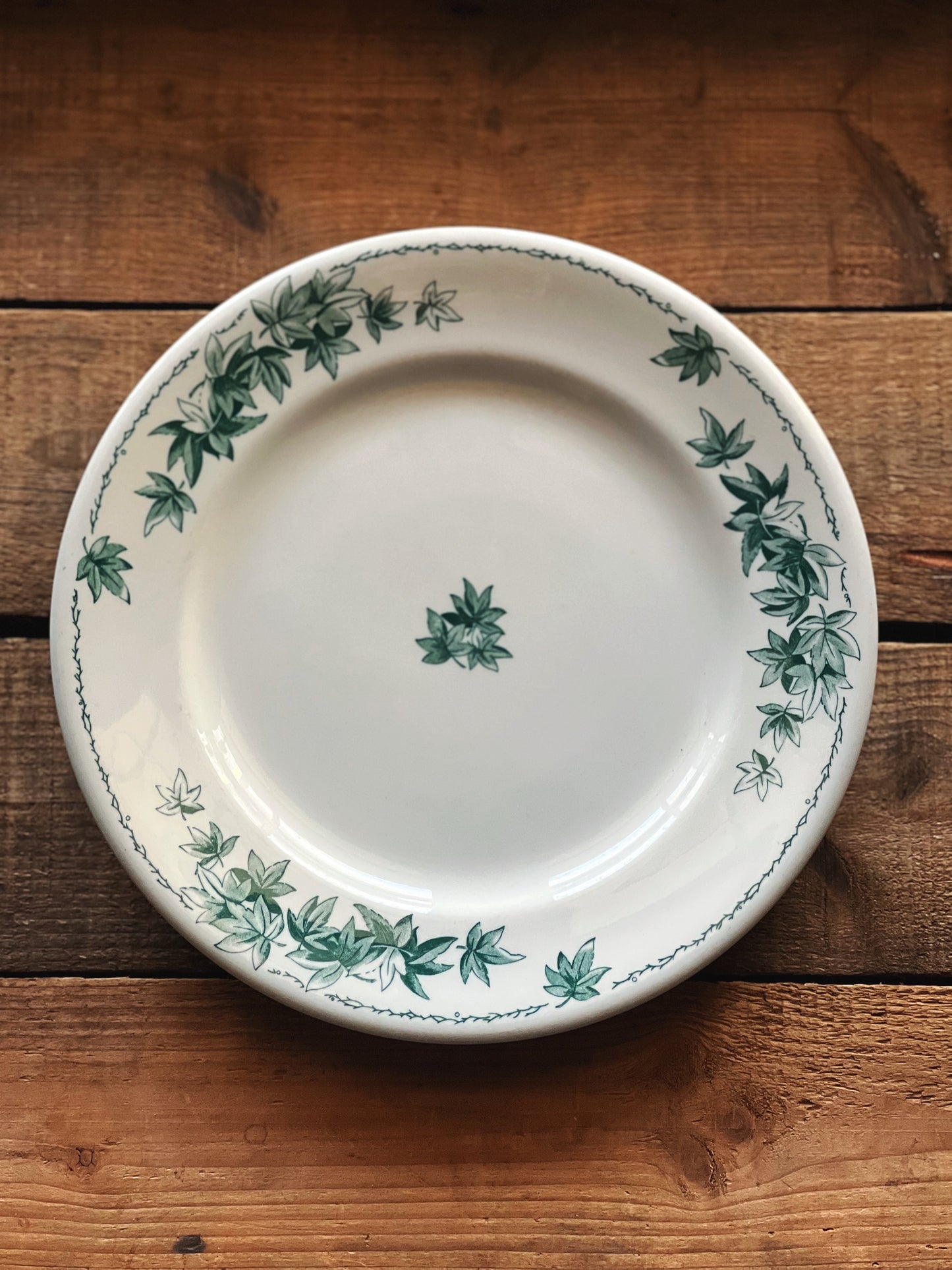 white dinner plate with green ivy leaf design