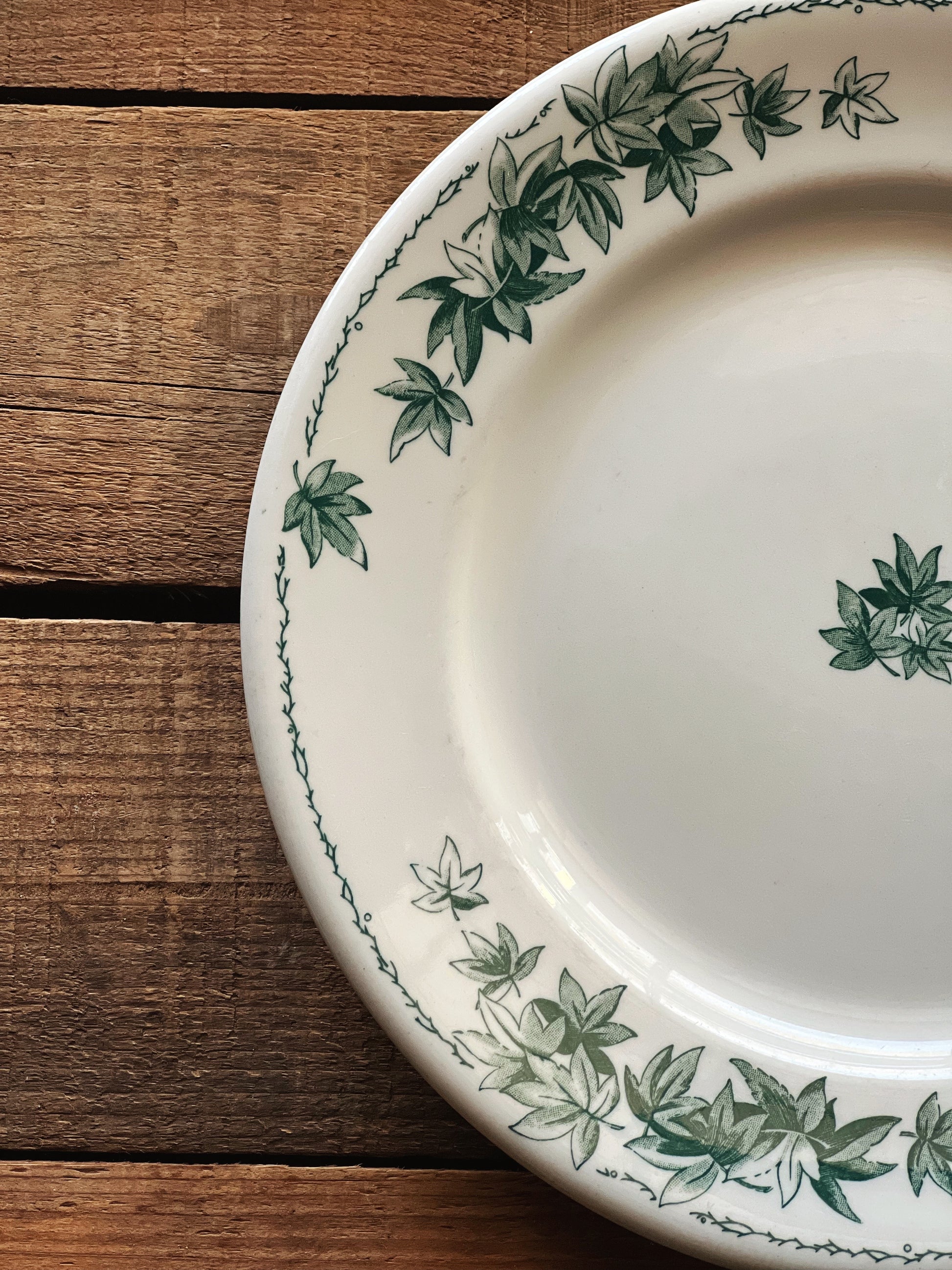Vintage Shenango China Ivy Leaves Dinner Plate