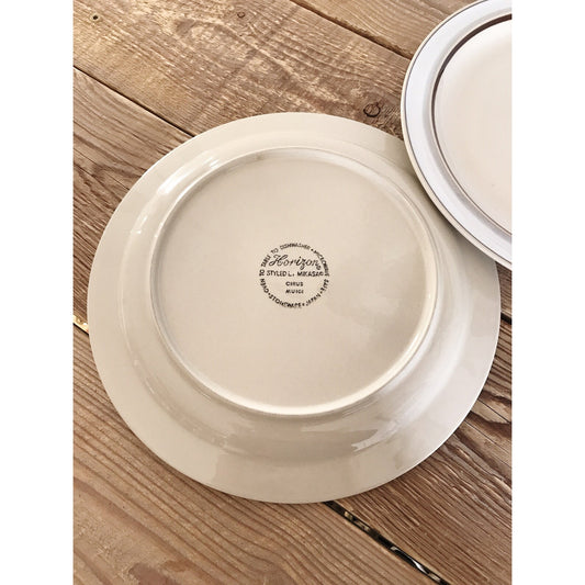 Vintage Mikasa Horizon Cirus Stoneware Dinner Plate