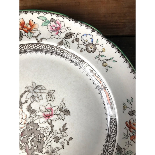 Antique Copeland Spode England Chinese Rose Dinner Plate