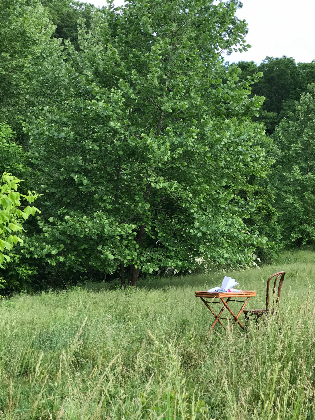 Empty vintage chair and writing table in a quiet Tennessee meadow