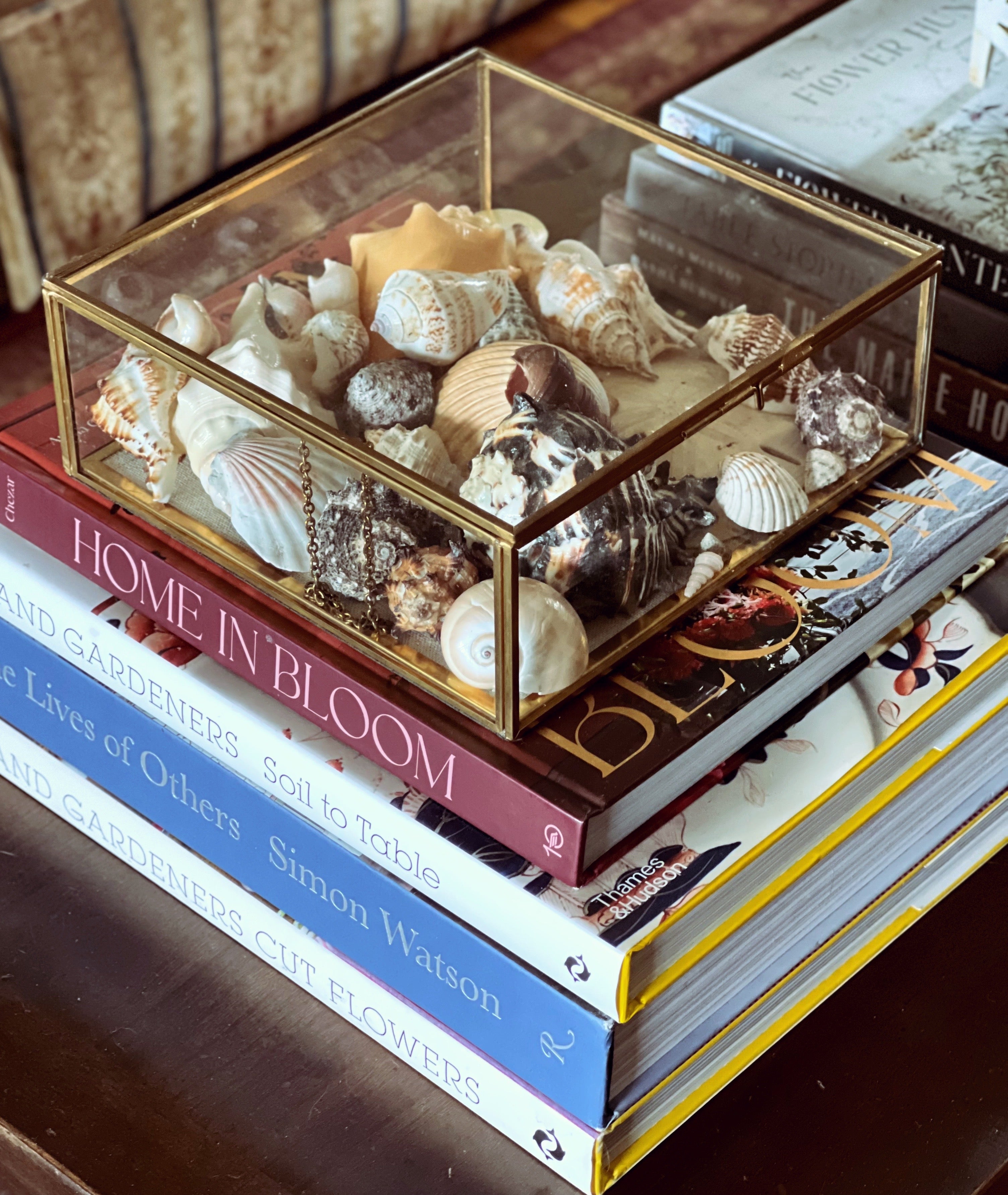 Curated vintage books styled with collected seashells and layered antique textures