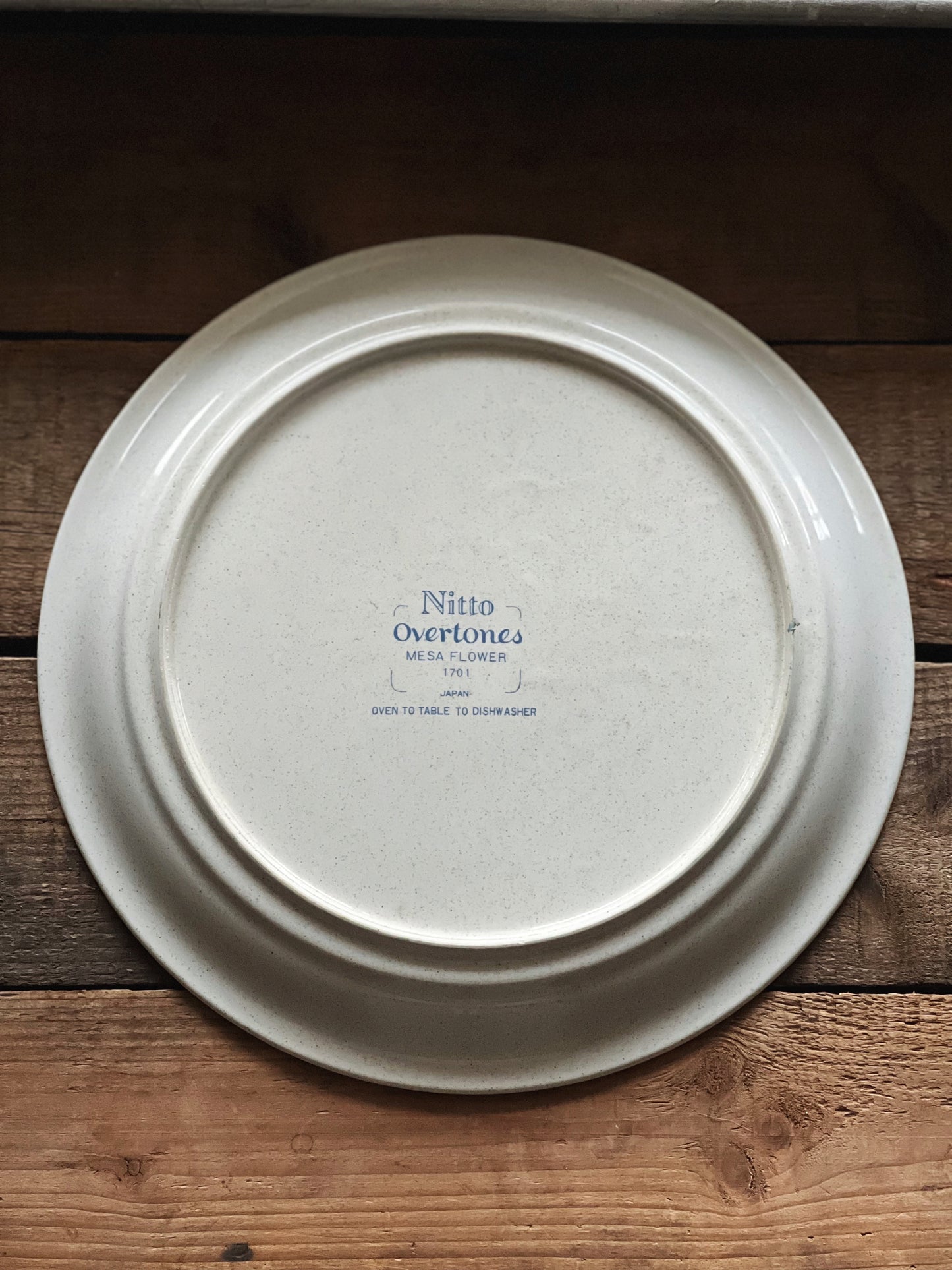 Vintage Nitto Overtones Mesa Flower Dinner Plate