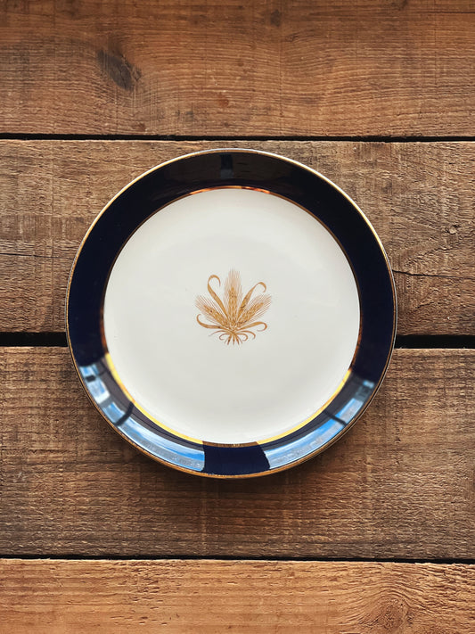 Golden Wheat plates with a navy rim