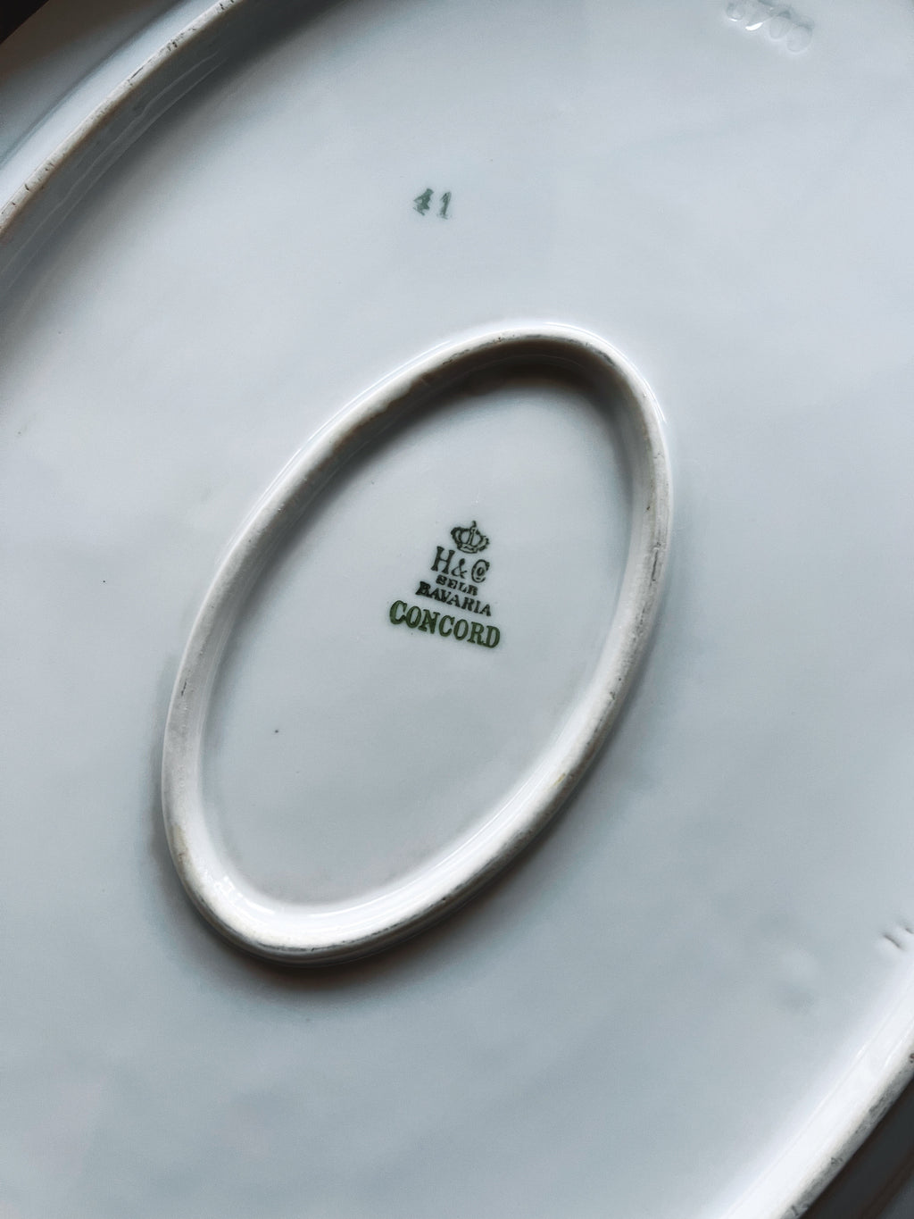 Vintage Heinrich & Co Bavaria Concord Oval Platter