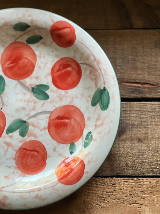 Set of 4 Vintage Hand Painted Ceramic Dinner Plates