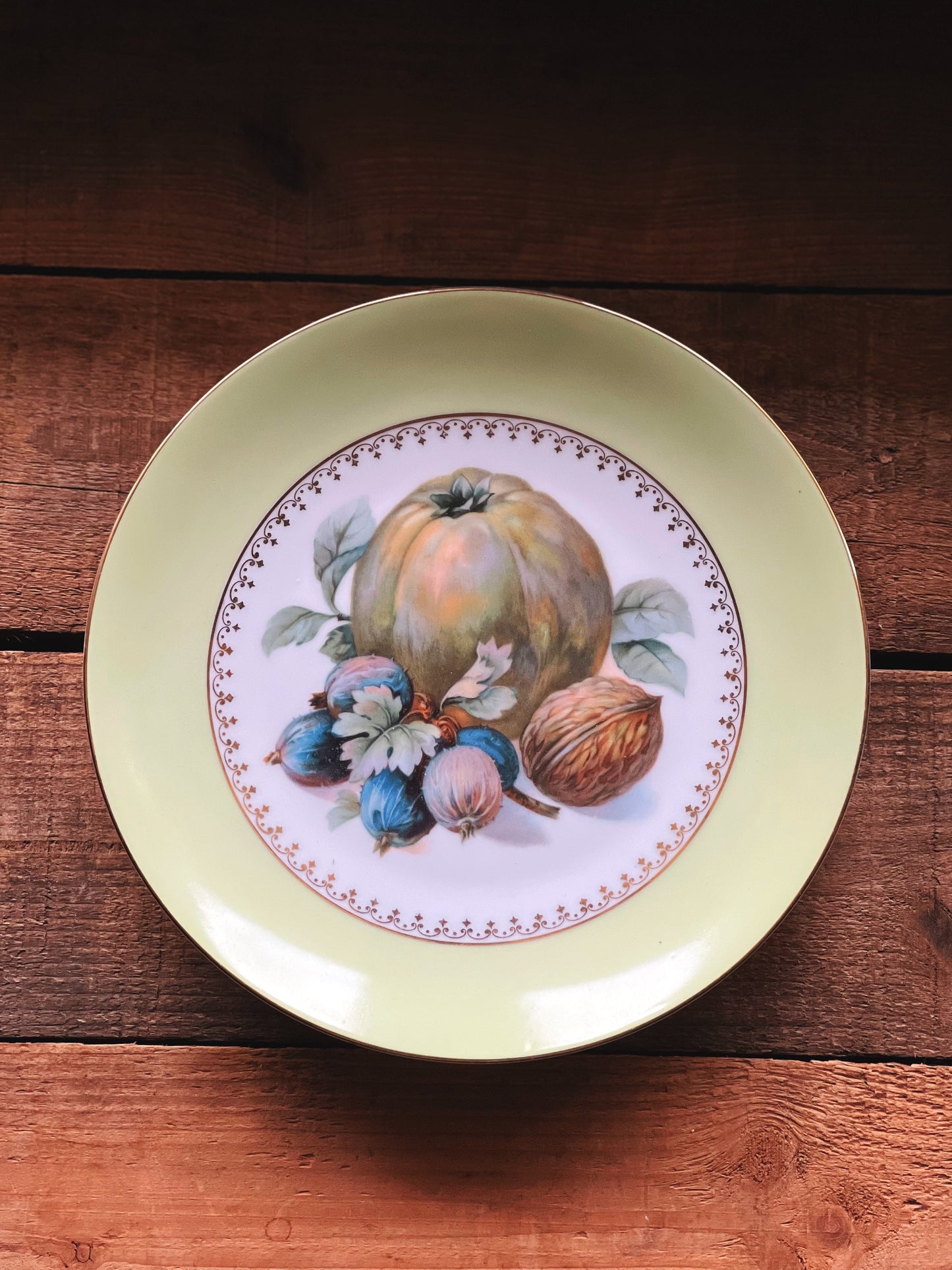 Set of 6 Vintage Puls Czechoslovakia Harvest Salad Plates