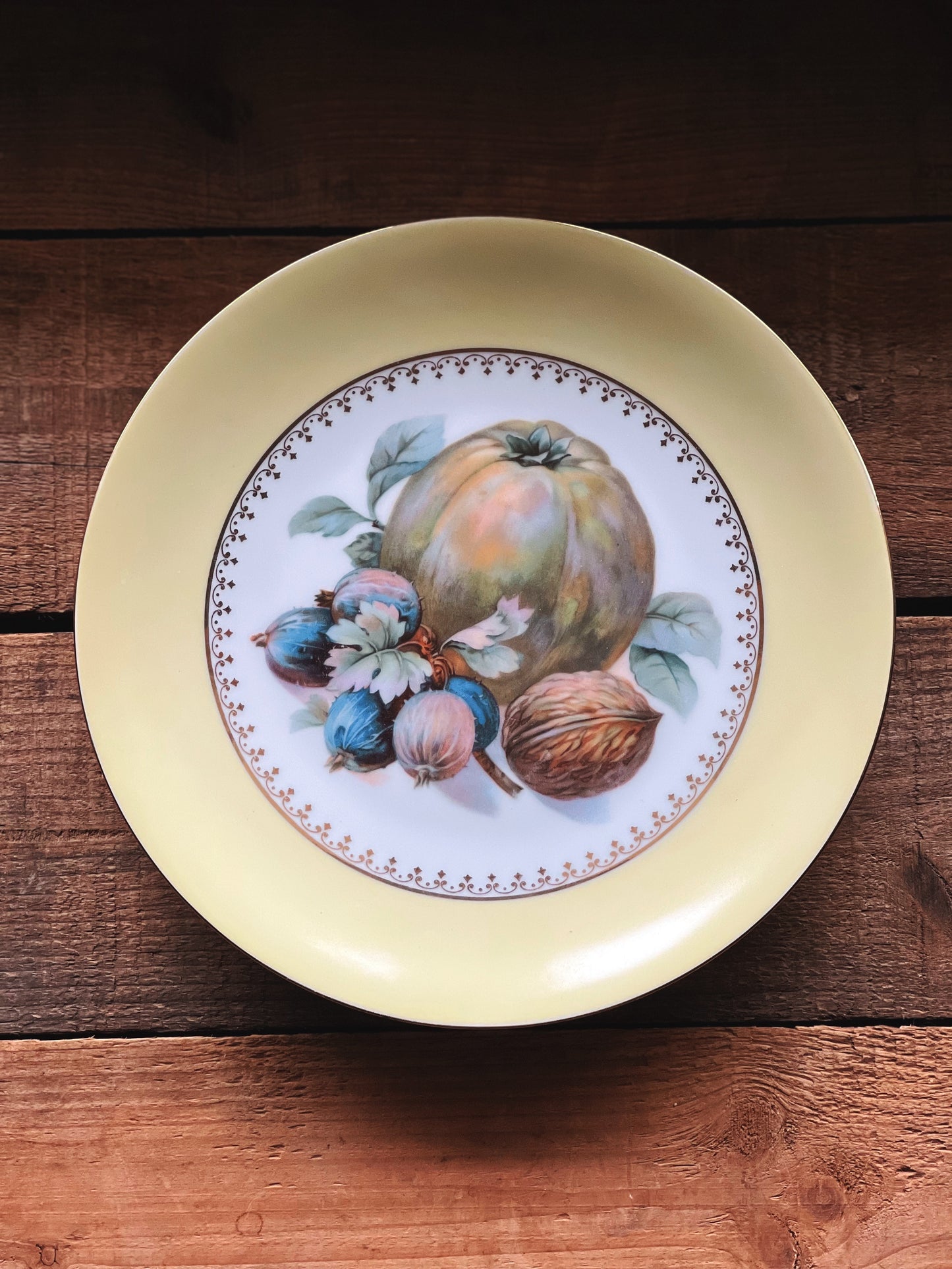 Set of 6 Vintage Puls Czechoslovakia Harvest Salad Plates