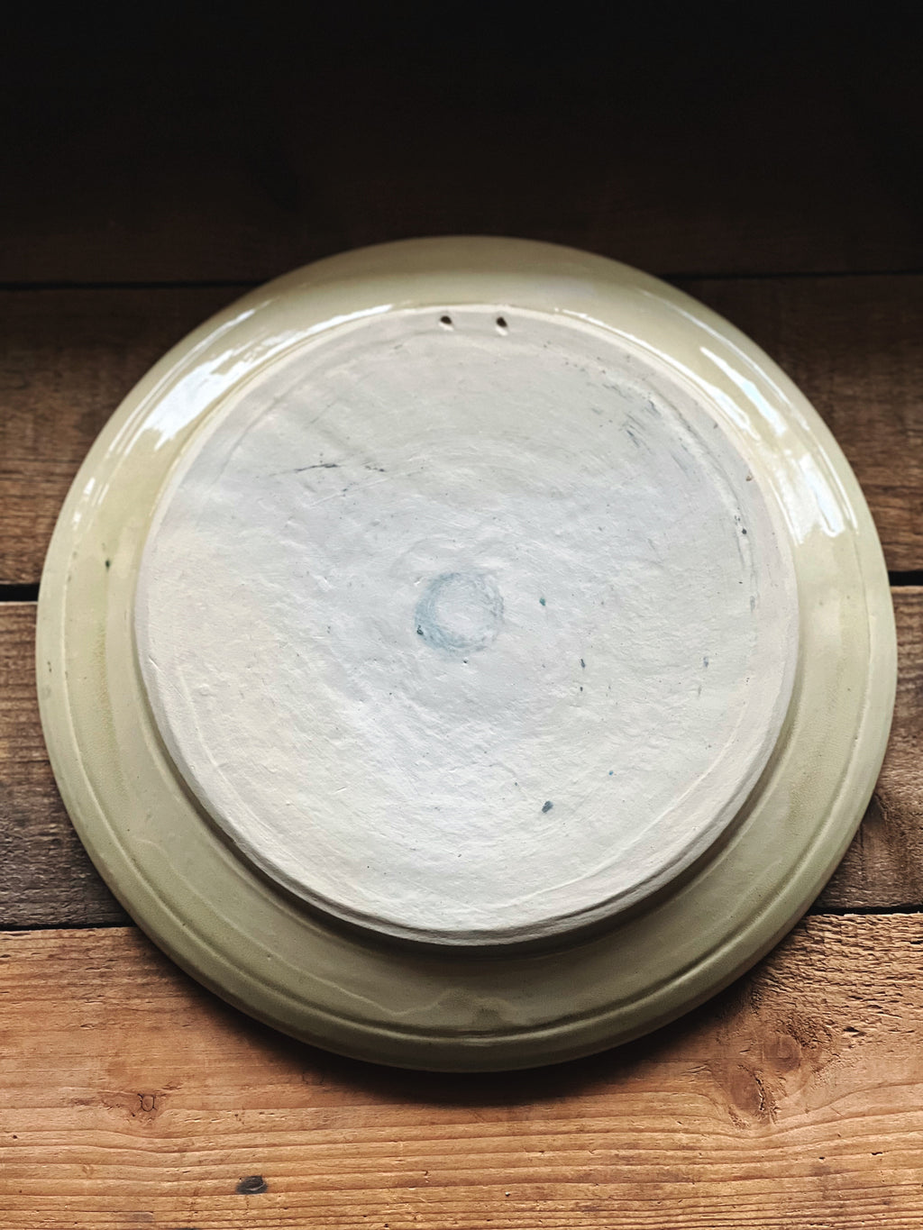 Vintage Hand Painted Decorative Wall Plate