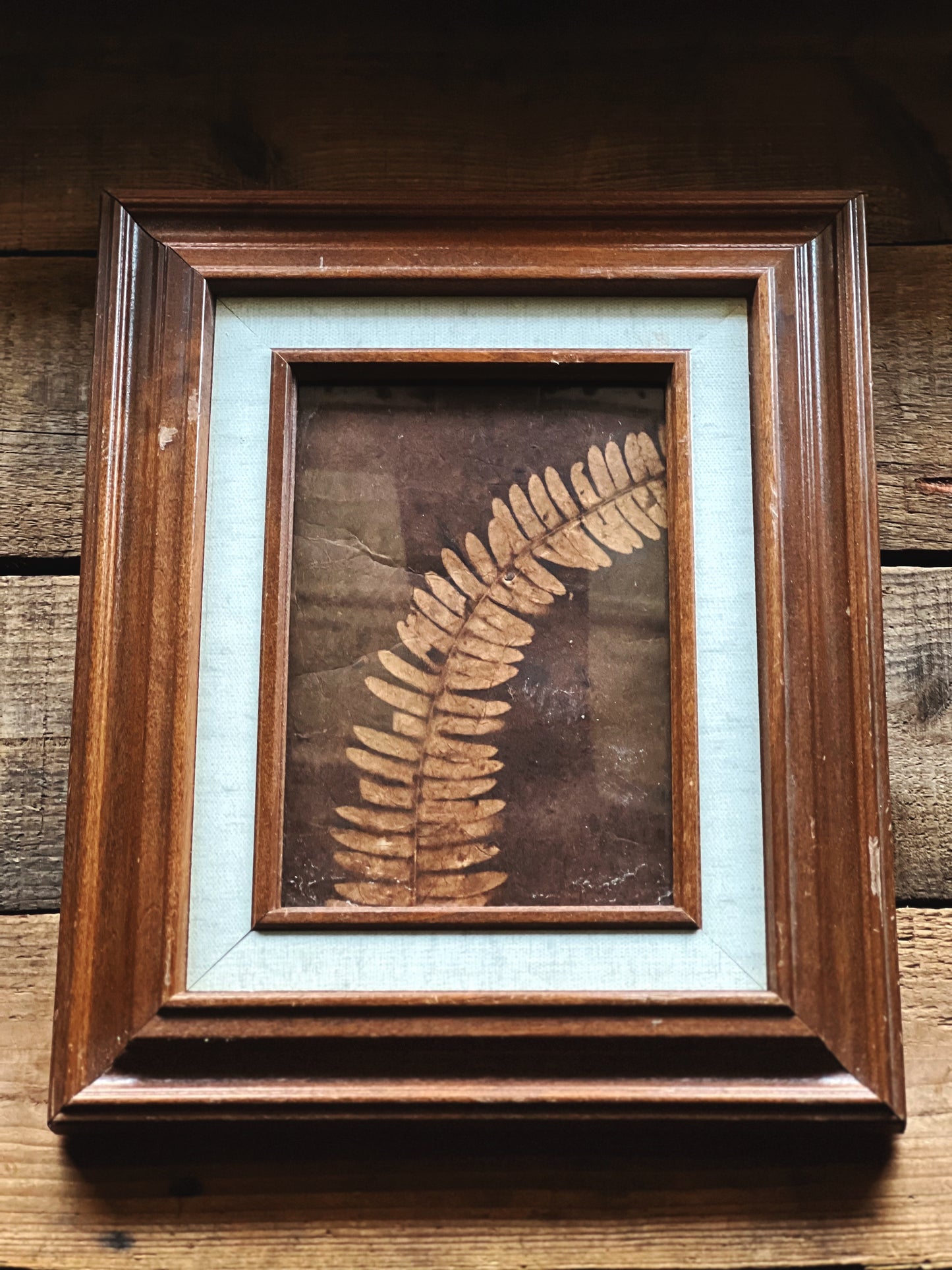 Vintage Framed Dried Leaf Print