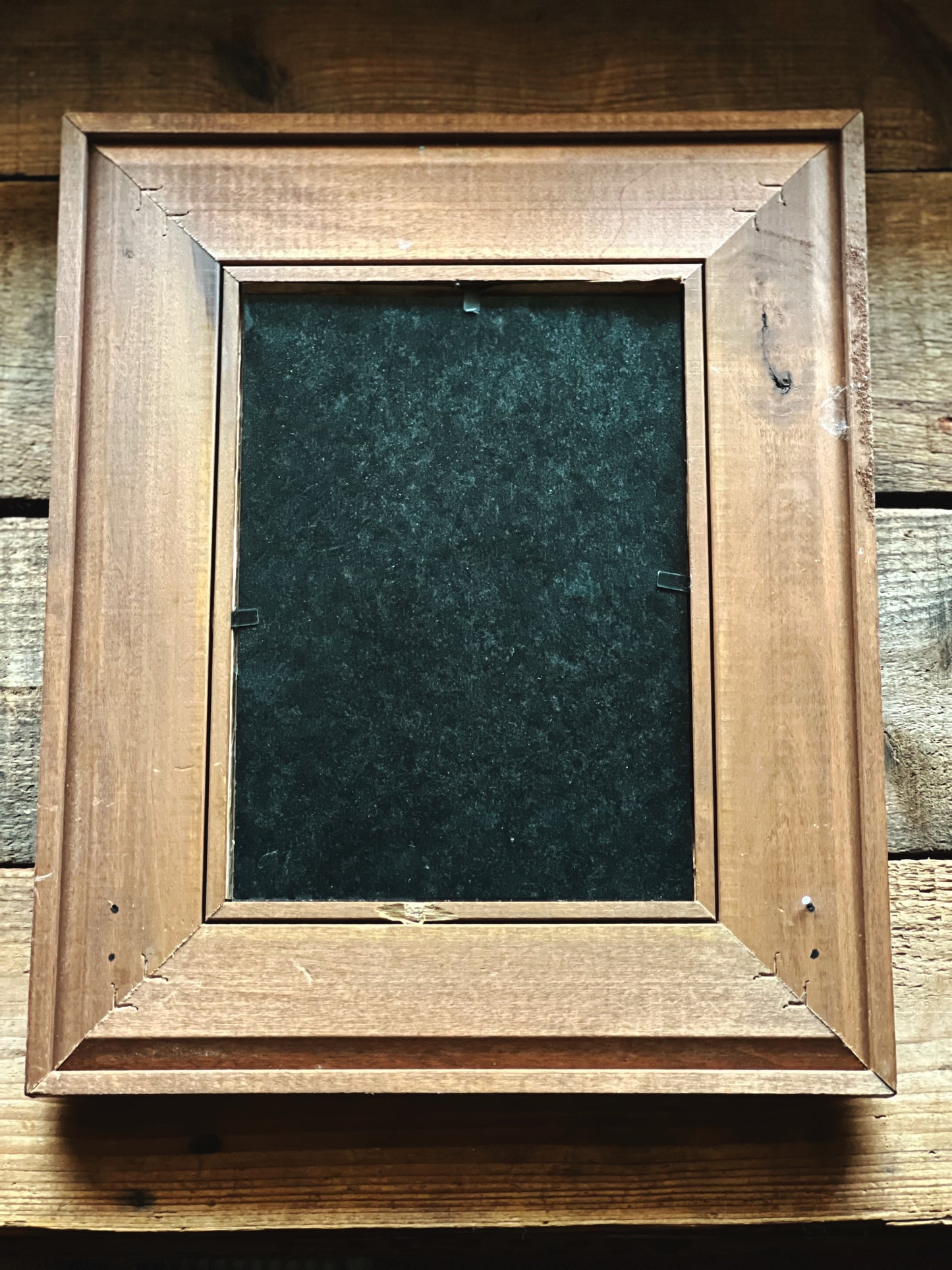 Vintage Framed Dried Leaf Print