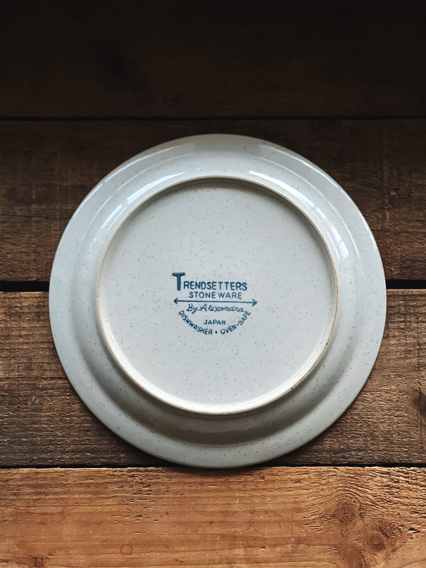 Vintage Trendsetters Stoneware by Alexandra Salad Plate