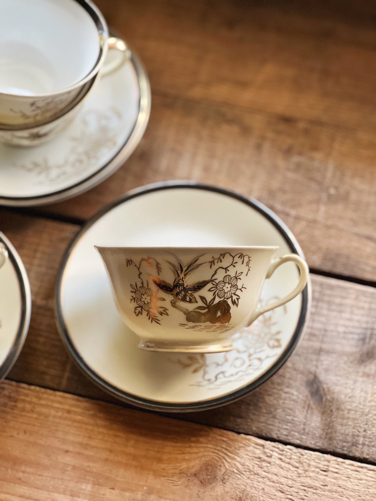 Vintage Chikaramachi Japan Hand Painted Teacup & Saucer Set