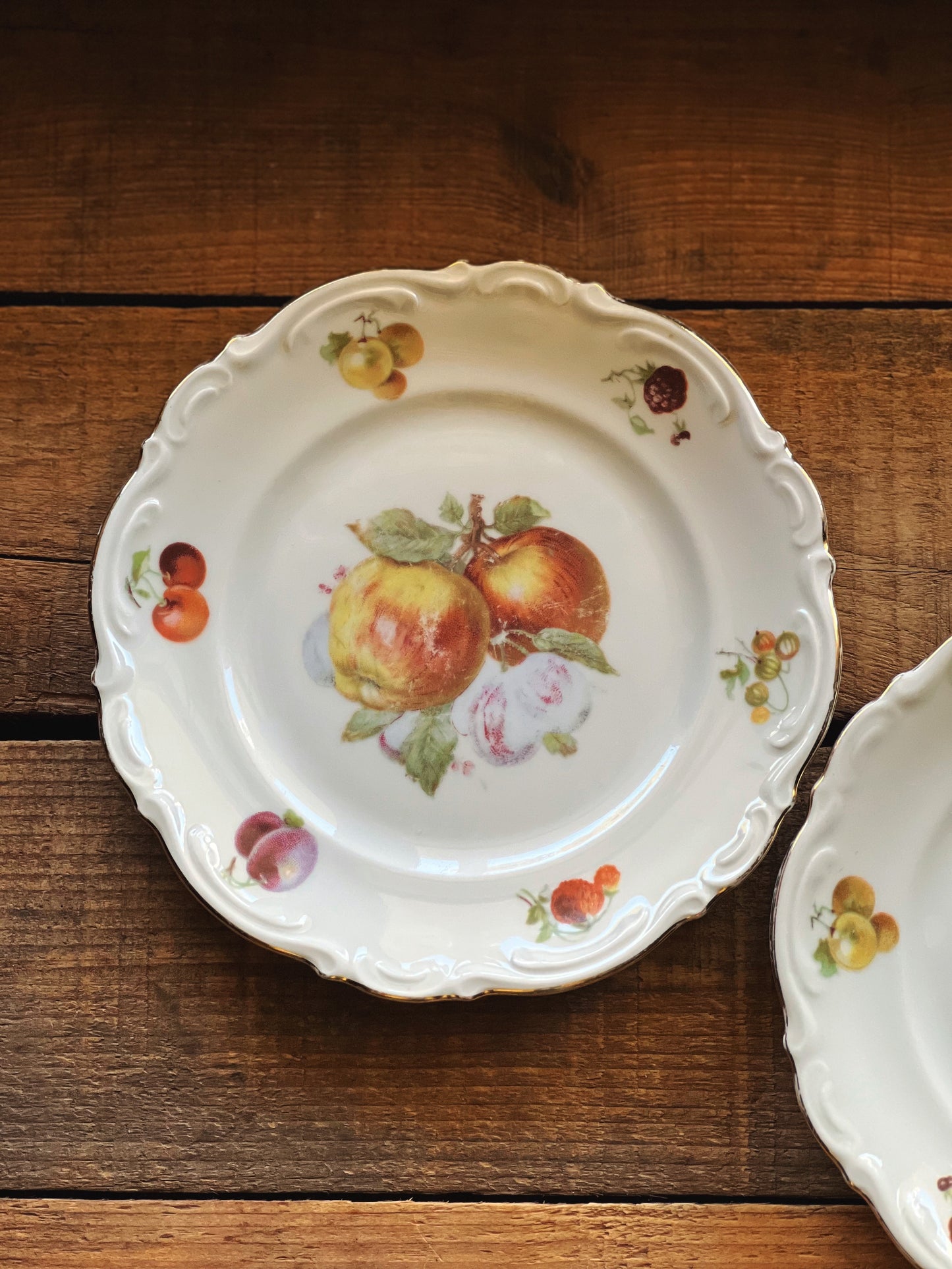 Pair of Vintage Amzo Debra Hand Painted Dessert Plates