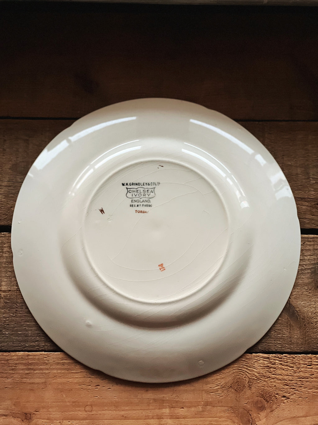 Rare Antique WH Grindley Chelsea Ivory Torbay Dinner Plate