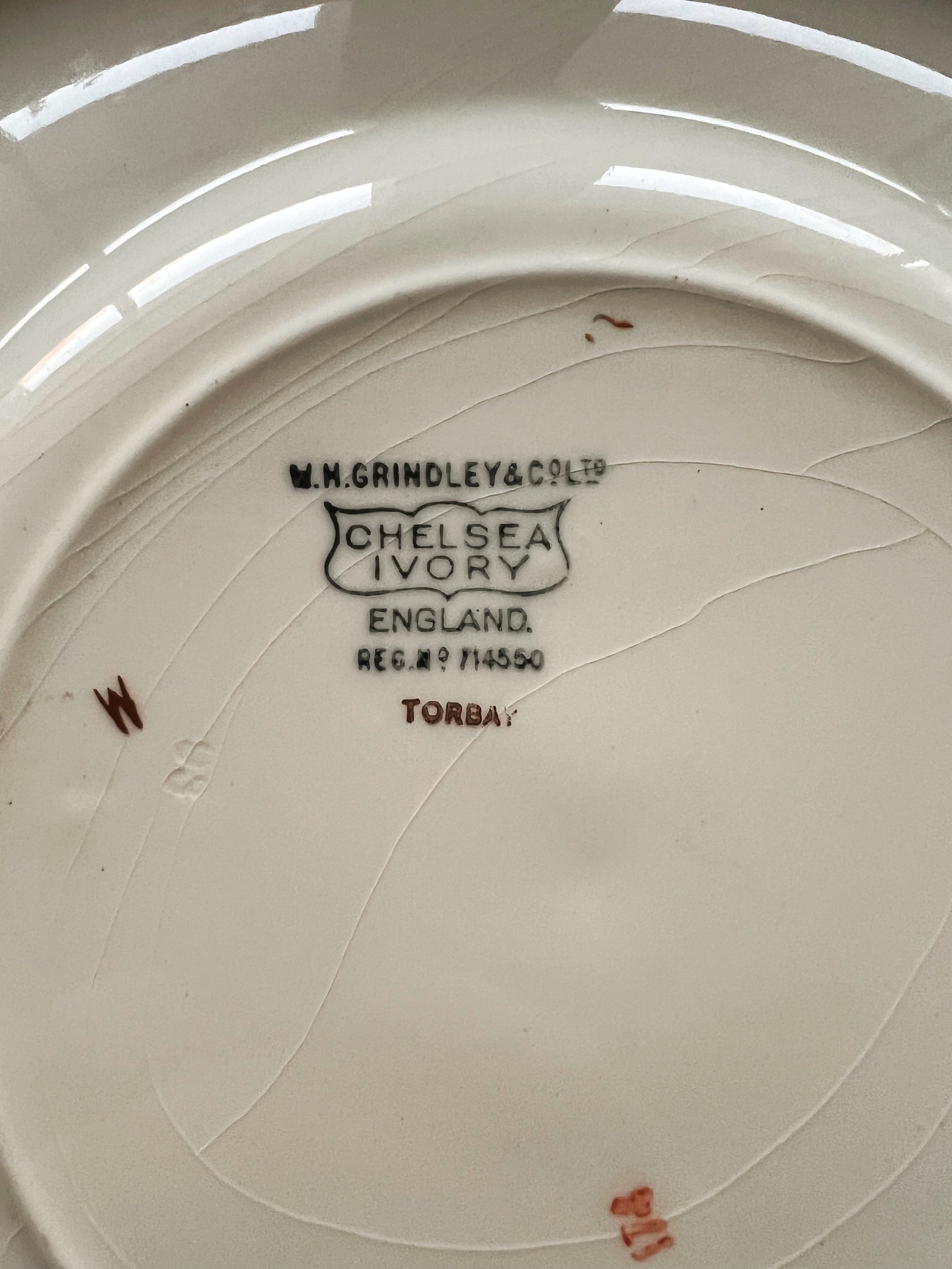 Rare Antique WH Grindley Chelsea Ivory Torbay Dinner Plate