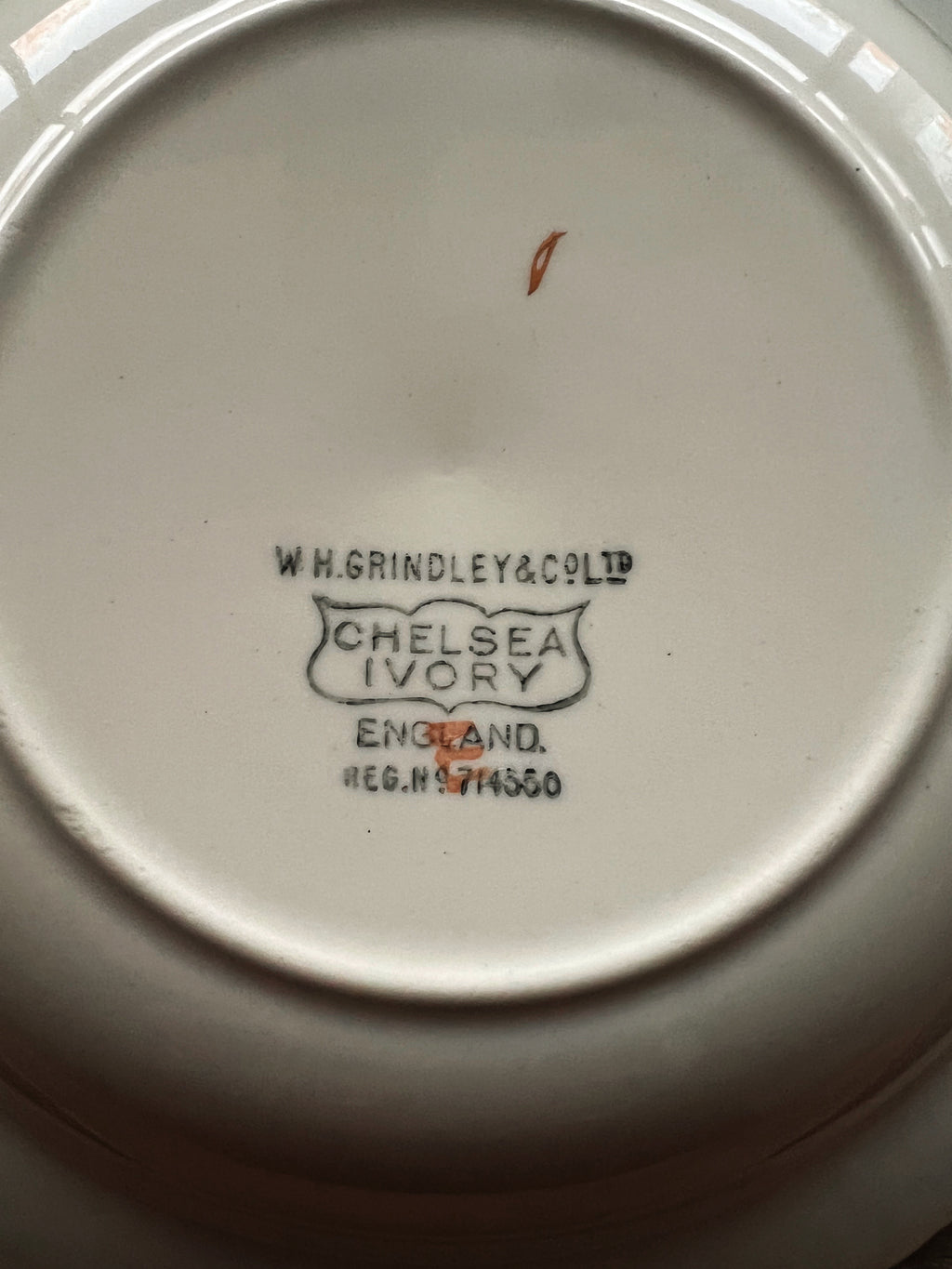 Rare Antique WH Grindley Chelsea Ivory Torbay Rimmed Soup Bowl