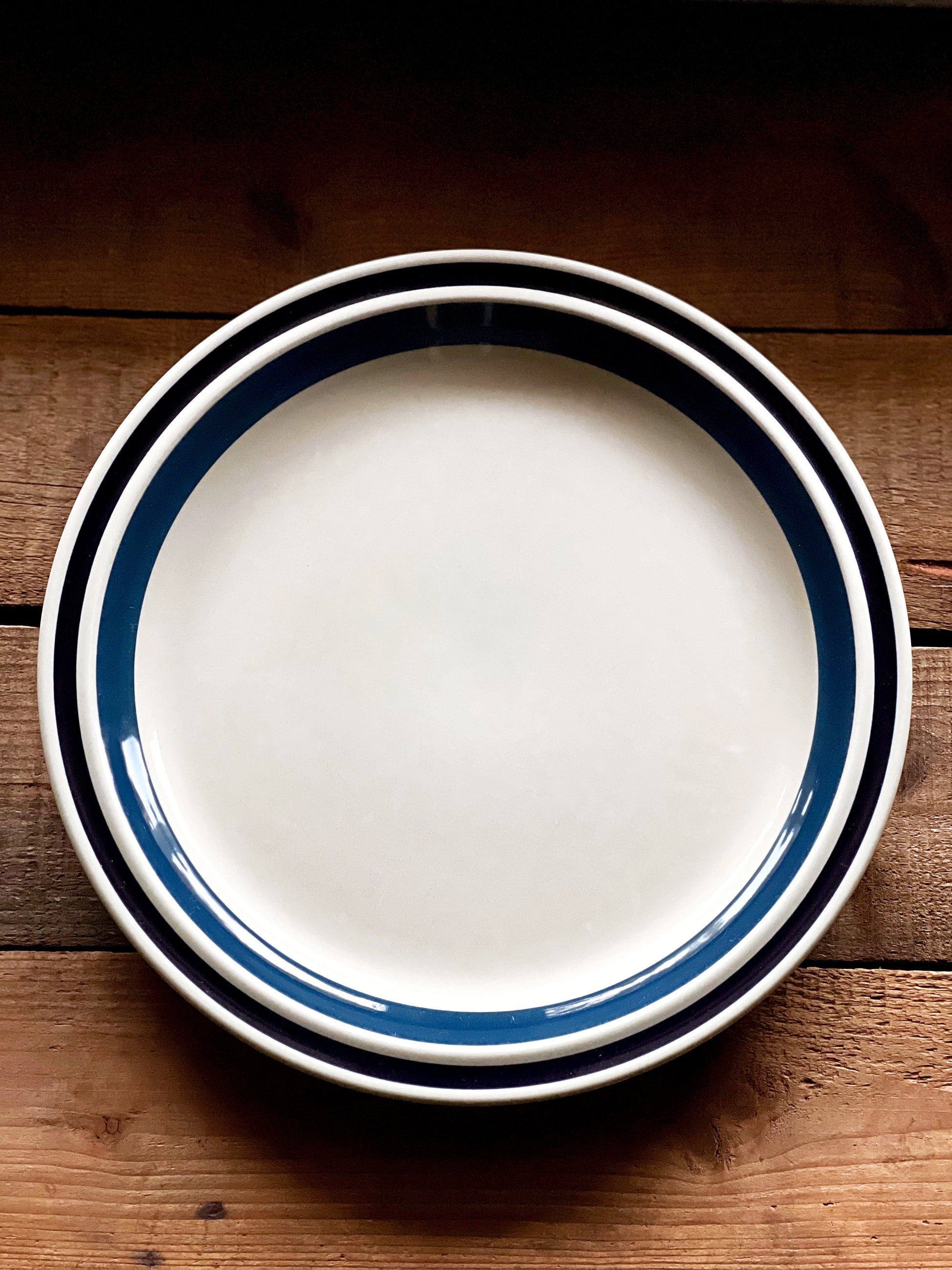 navy blue stoneware plates