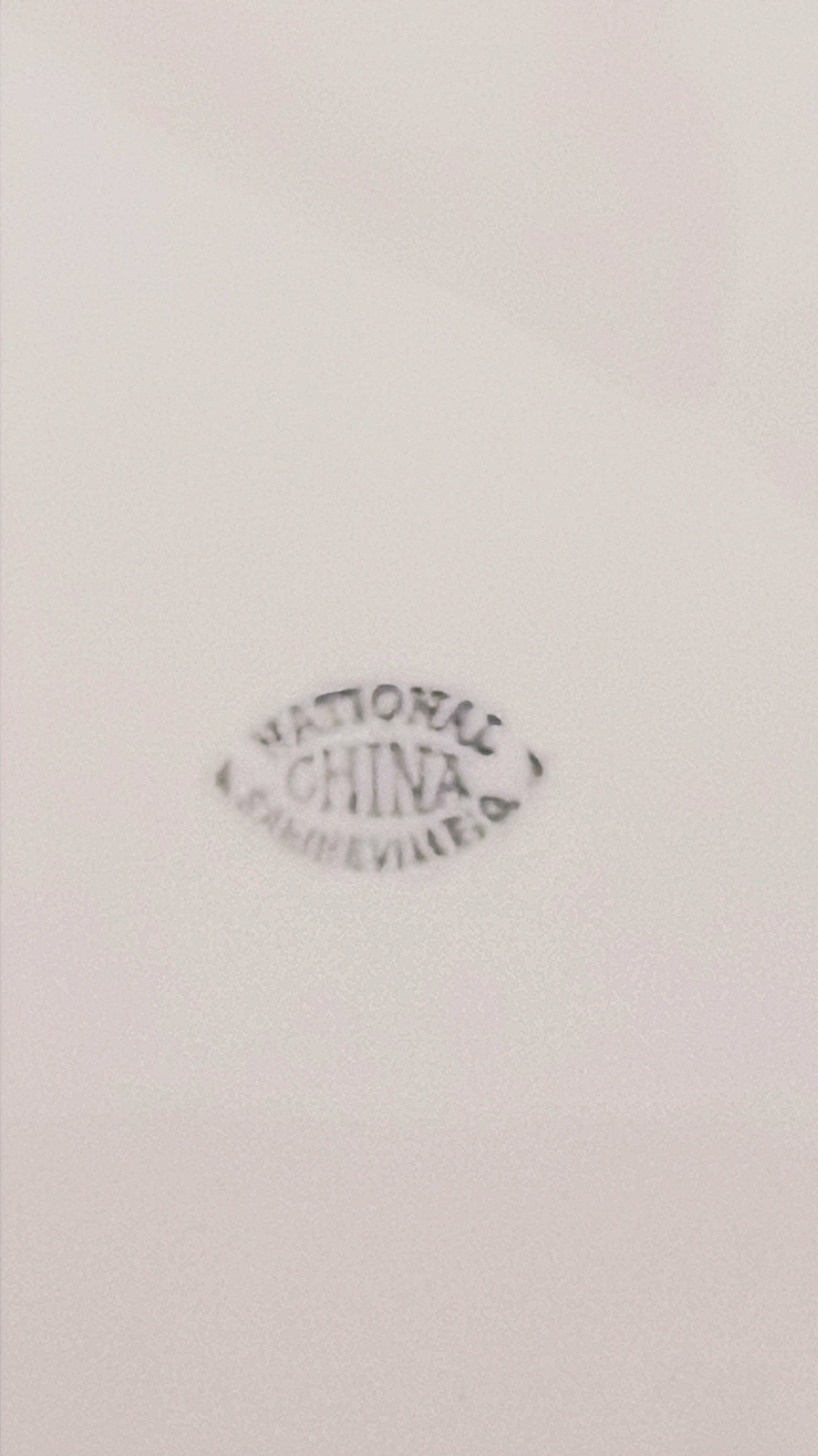 Vintage National China Bluebird Oval Platter
