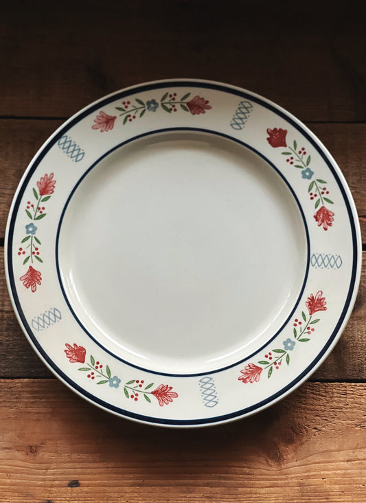 Newcor Deere Park floral dinner plates