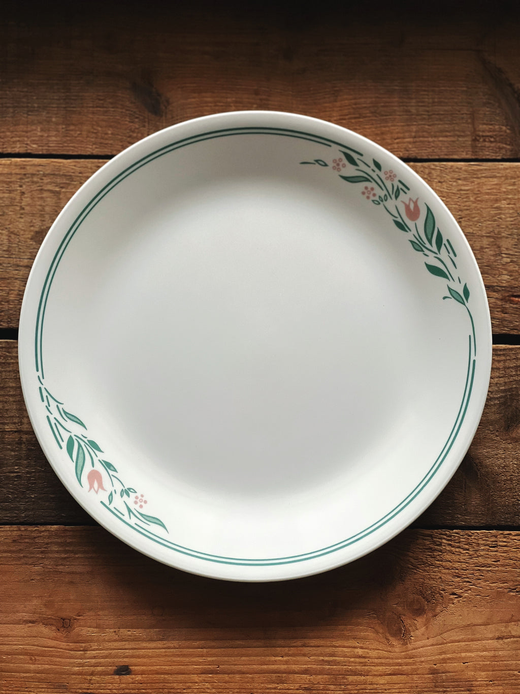 White ceramic plate with decorative green rim on a wooden surface