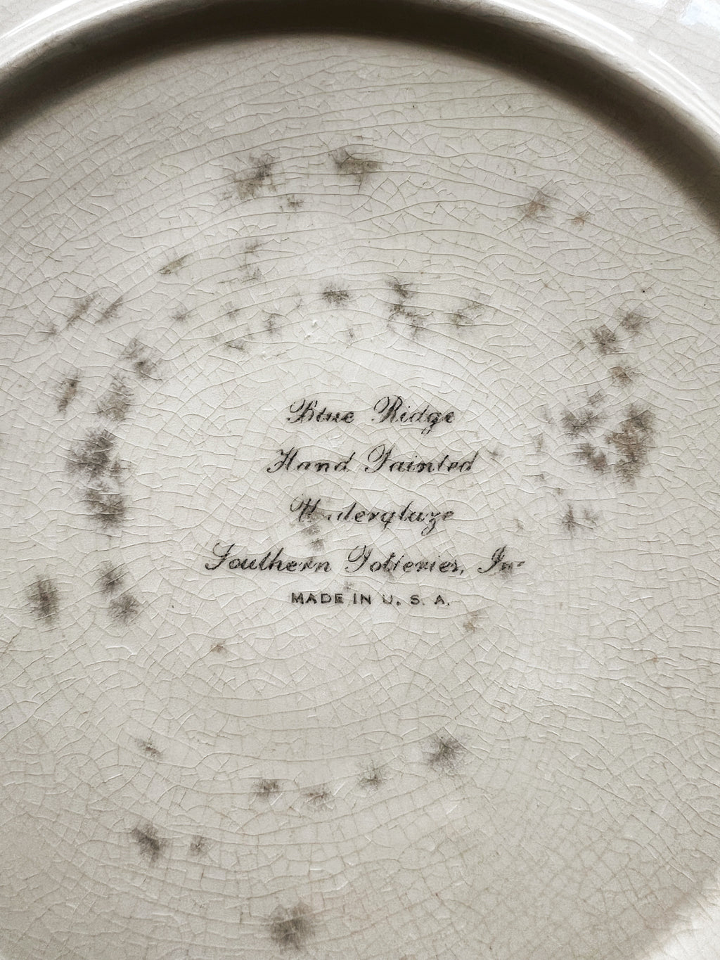 Vintage Blue Ridge Southern Potteries Inc Grandmother's Garden Floral Plate