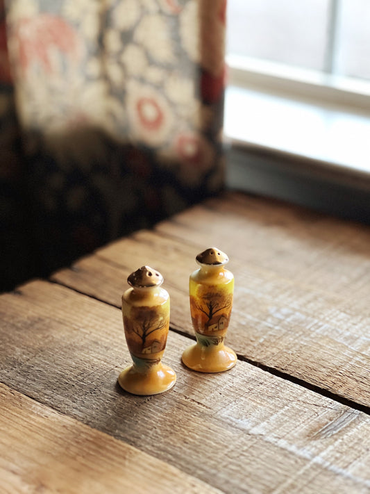 hand painted salt and pepper shaker set with a landscape design