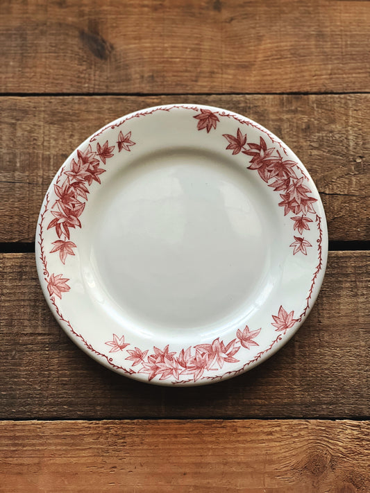 red and white floral salad plate