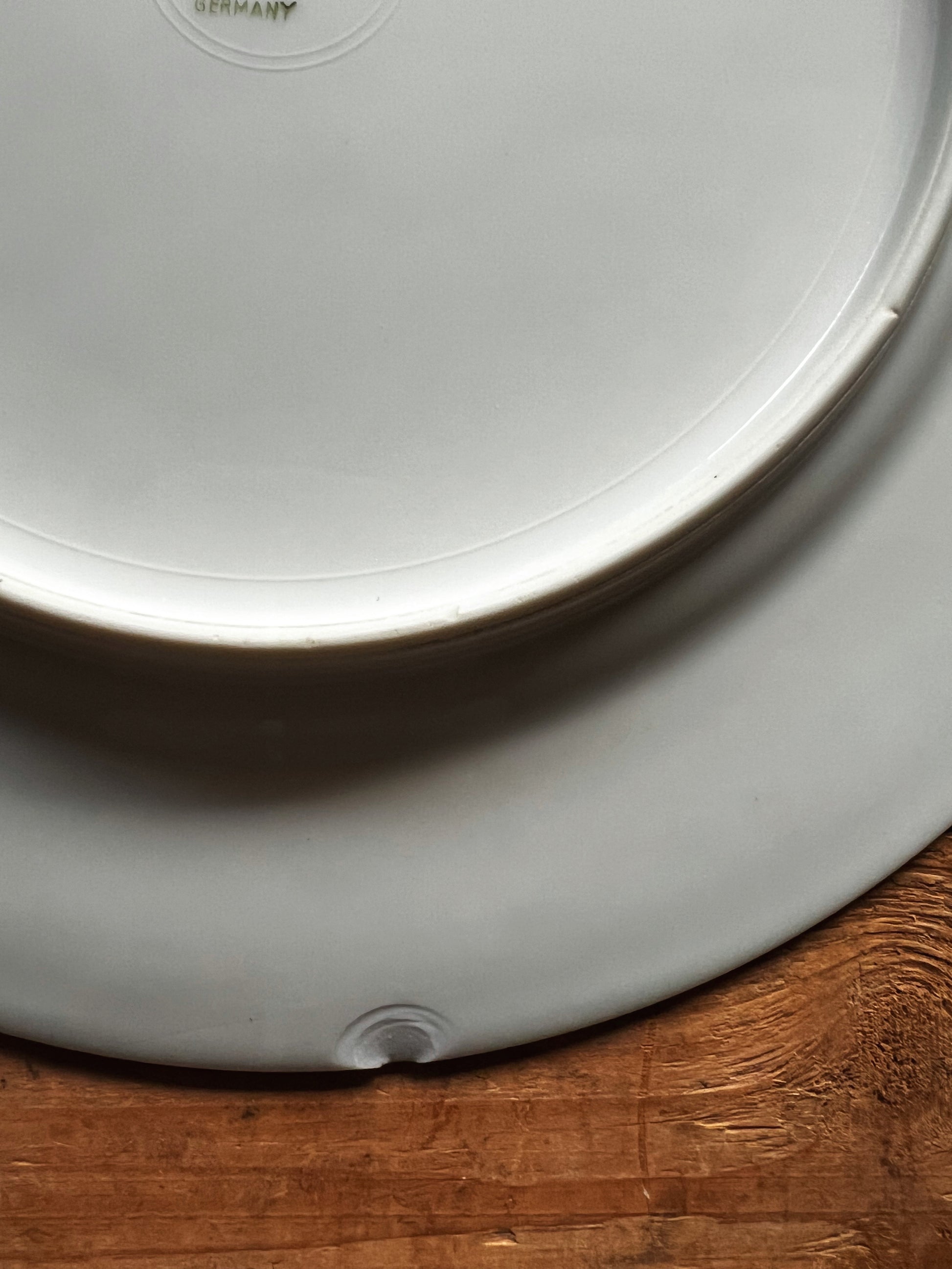 Vintage KPM Germany Floral Dinner Plate