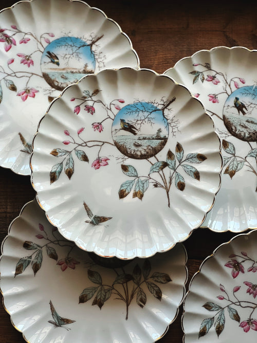 Set of decorative plates with floral and nature-themed designs on a wooden surface