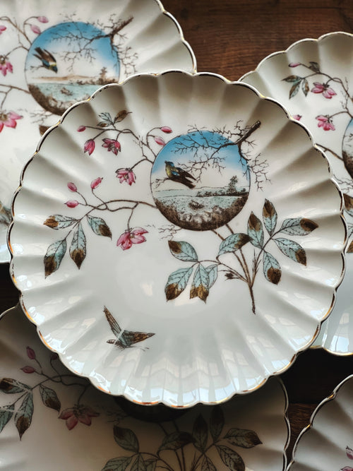 Vintage Aesthetic Ware Salad Plate