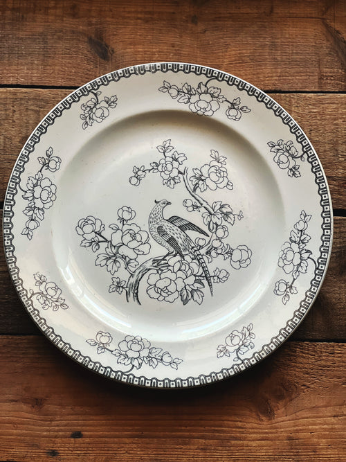Decorative plate with bird and floral design on a wooden surface