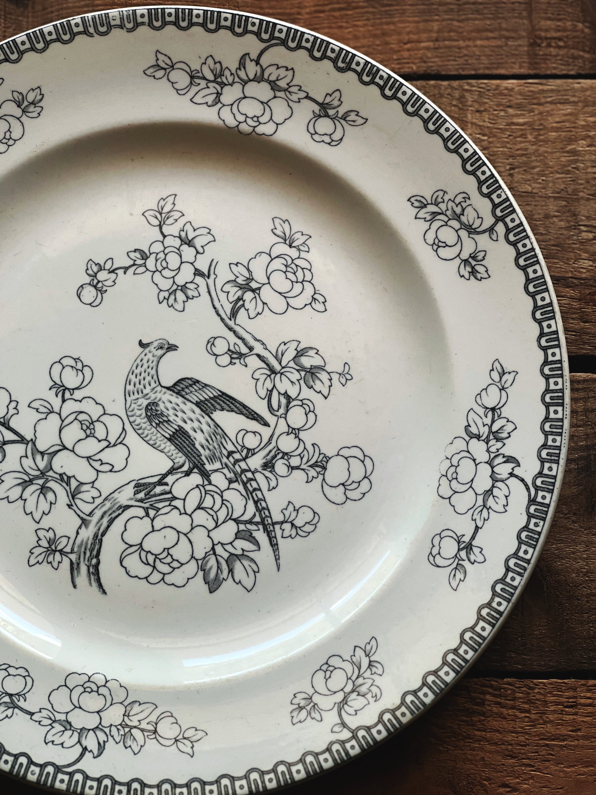 Antique F. Winkle & Co Weldon Ware Pheasant Dinner Plate