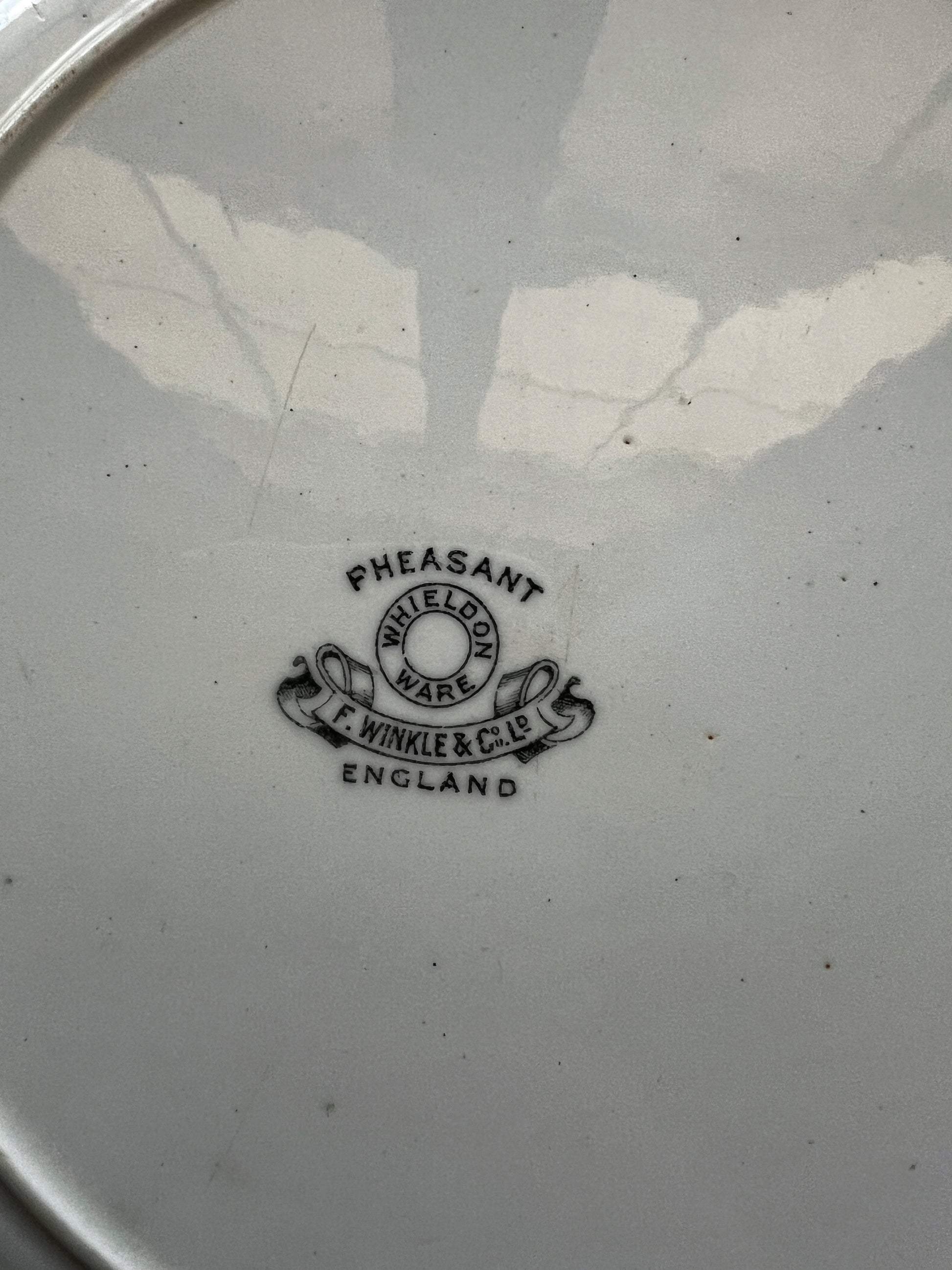 Antique F. Winkle & Co Weldon Ware Pheasant Dinner Plate
