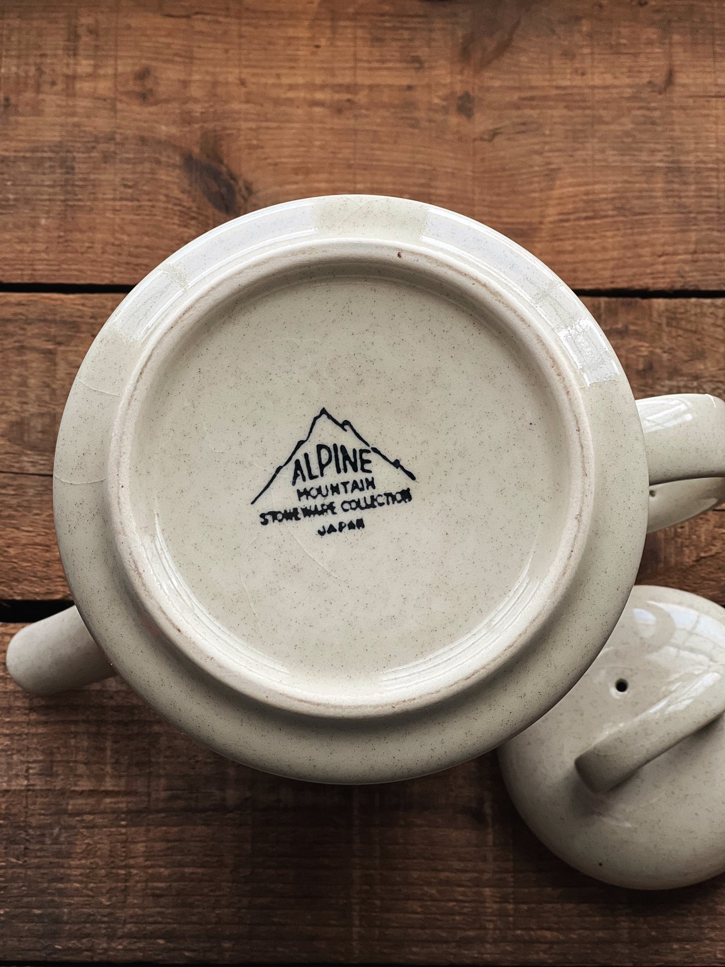 Vintage Alpine Mountain Stoneware Genesis Coffee Pot