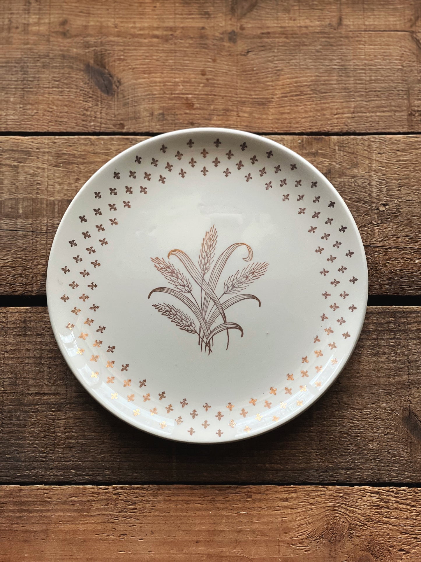 golden wheat pattern salad plates