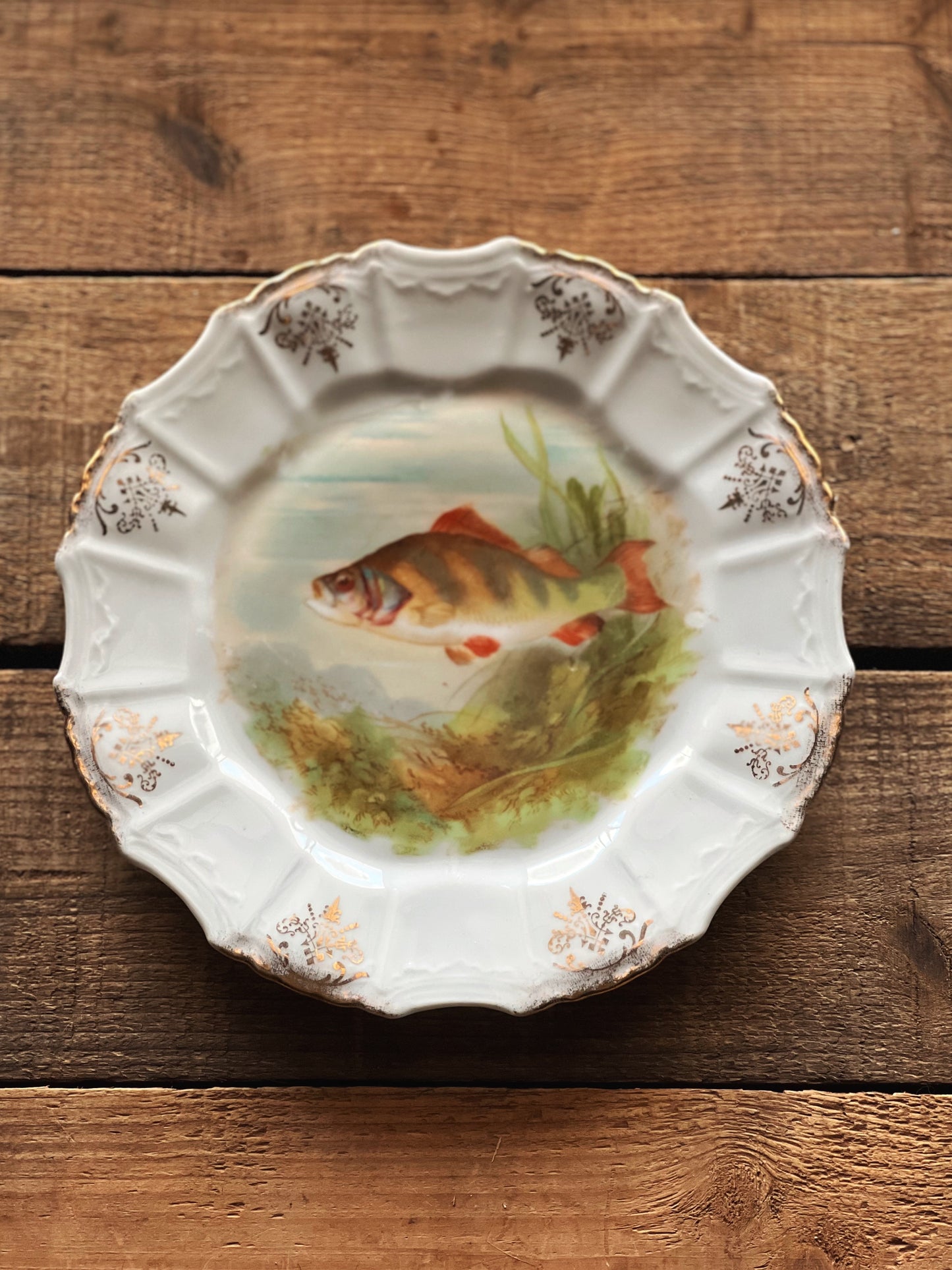 antique hand painted fish plate