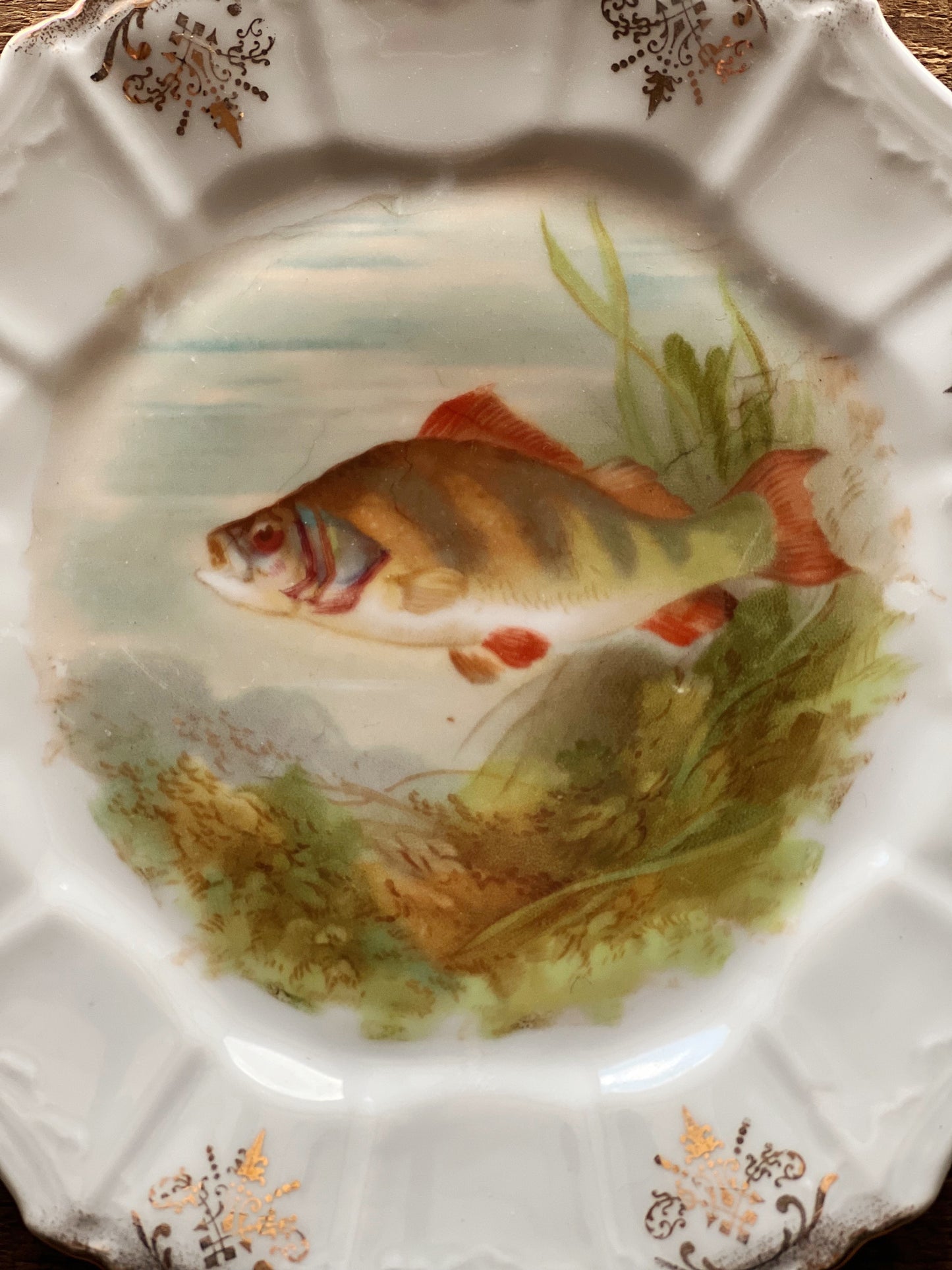 Antique Hand Painted Fish Plate