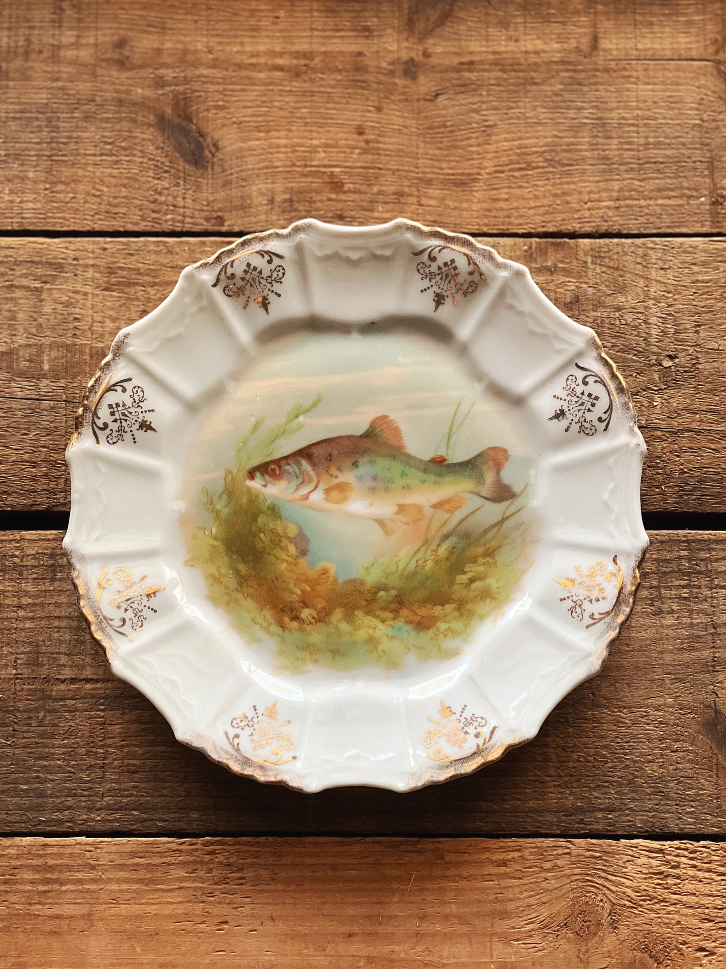 Antique Hand Painted Fish Plate