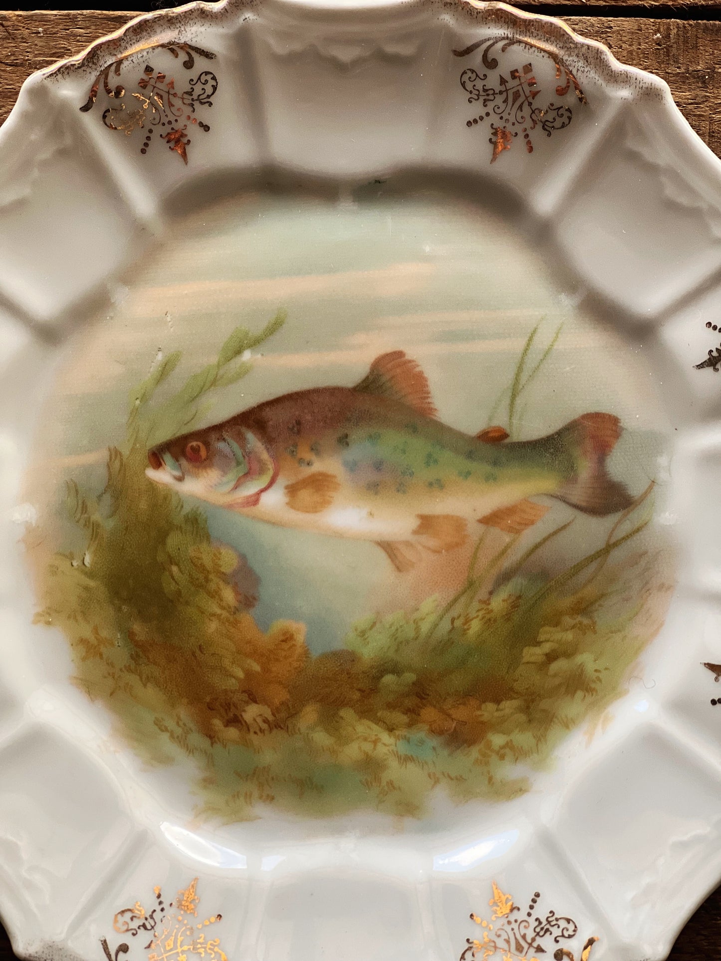 Antique Hand Painted Fish Plate