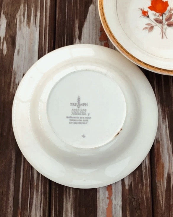 Vintage Triumph American Limoges Vermillion Rose Rimmed Soup Bowl