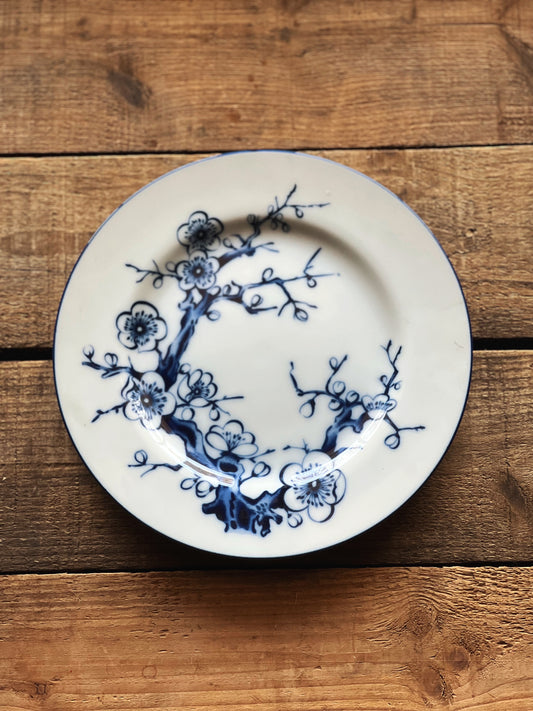 blue and white chinoiserie plate