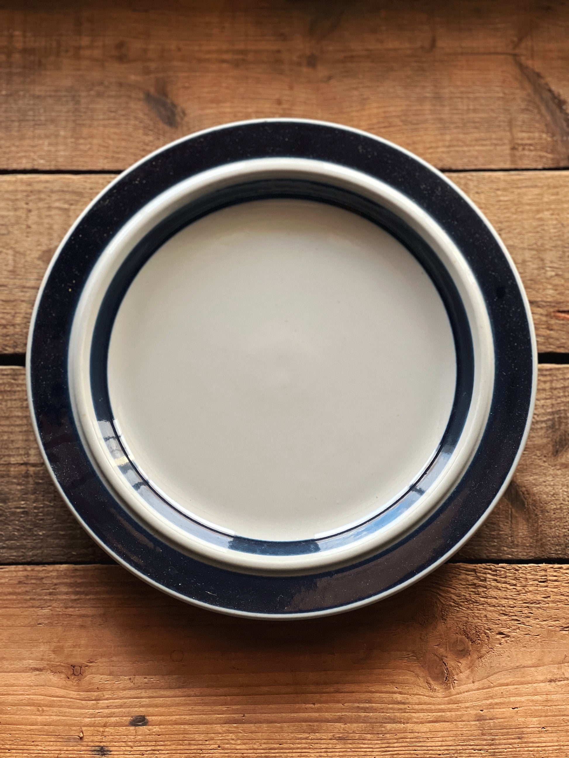 navy blue stoneware dinner plate