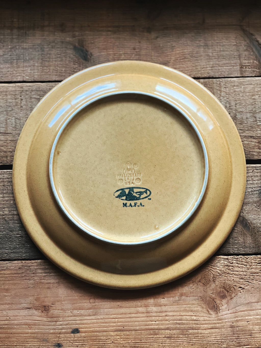 Vintage Pfaltzgraff America Dinner Plate