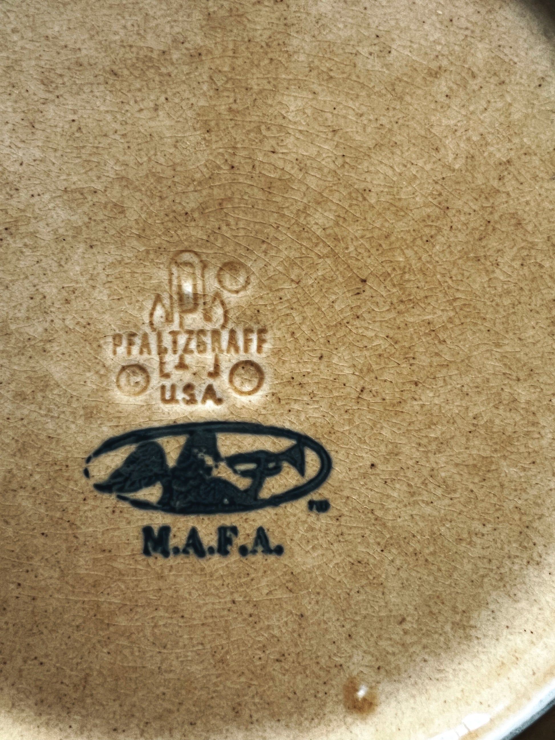 Vintage Pfaltzgraff America Dinner Plate