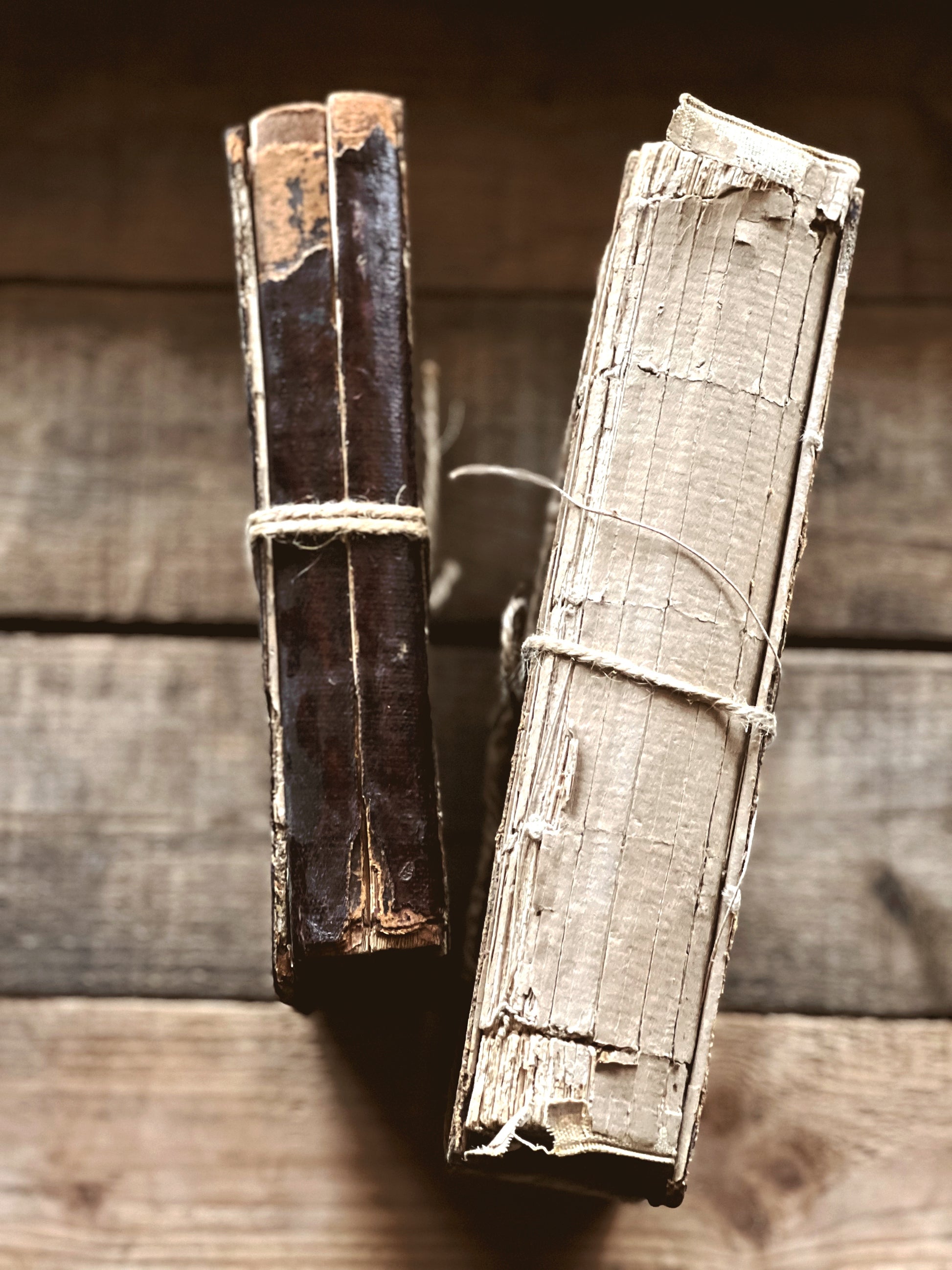 Pair of Antique Books
