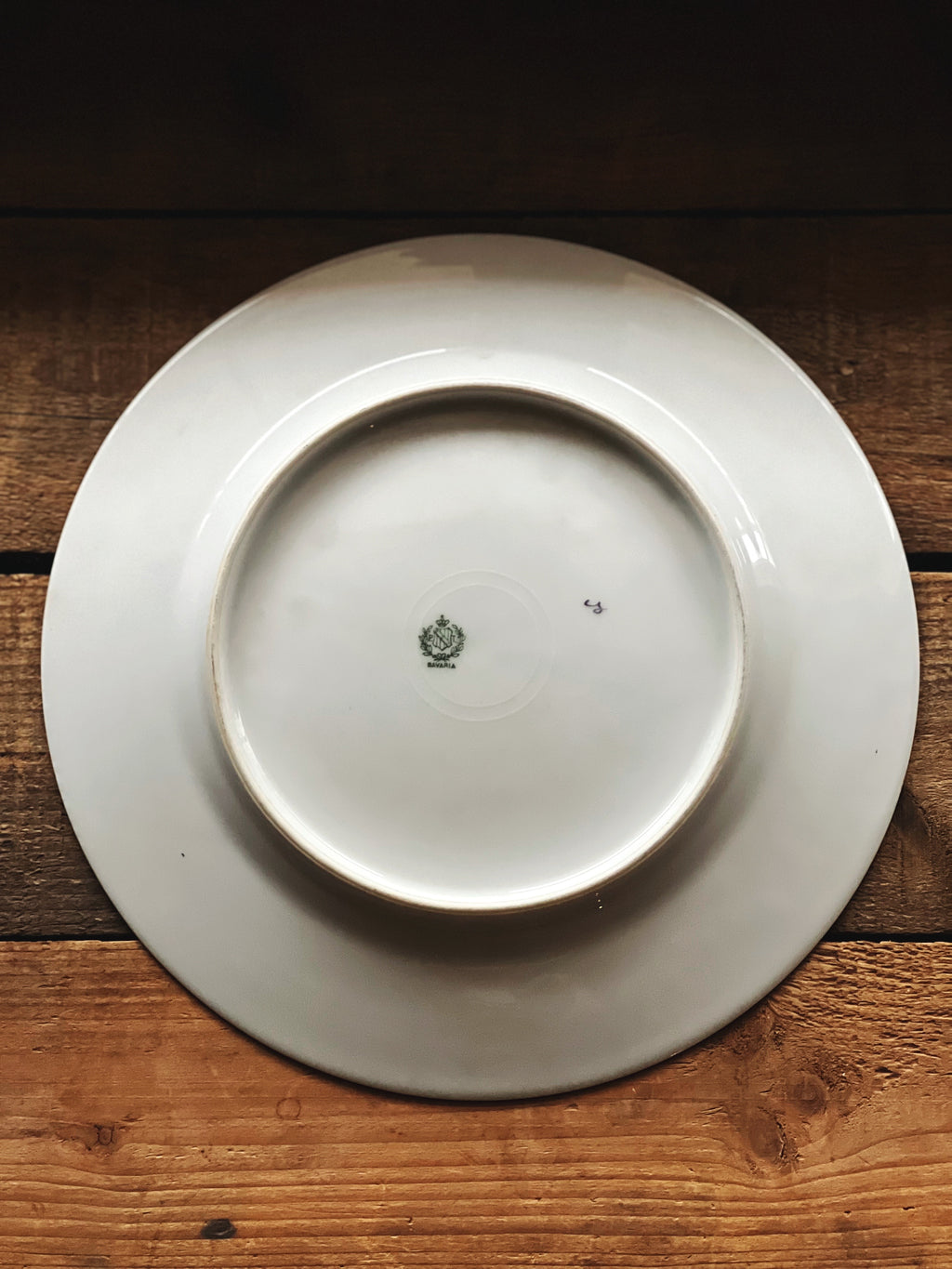 Vintage PT Bavaria Floral Luncheon Plate