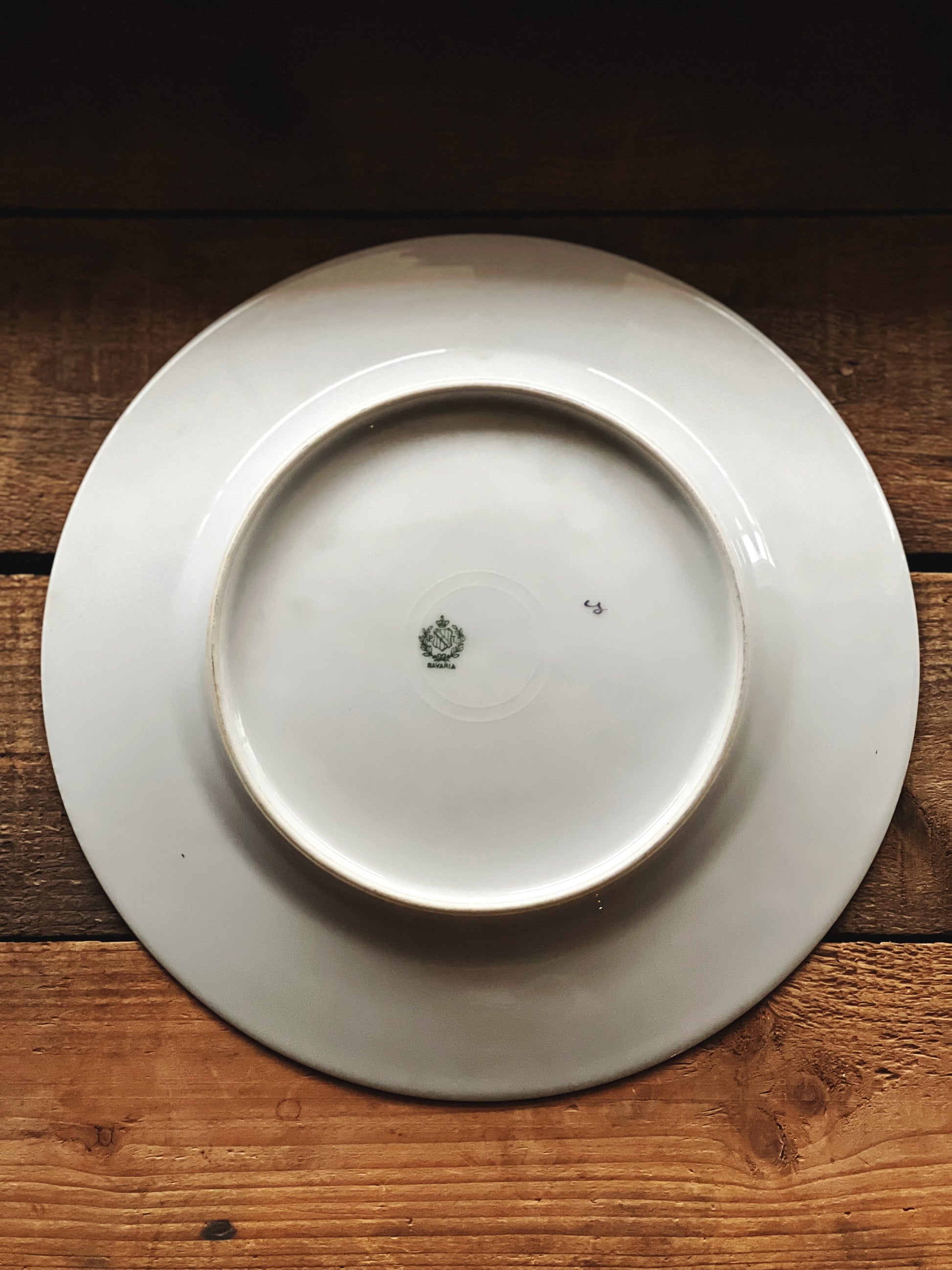 Vintage PT Bavaria Floral Luncheon Plate