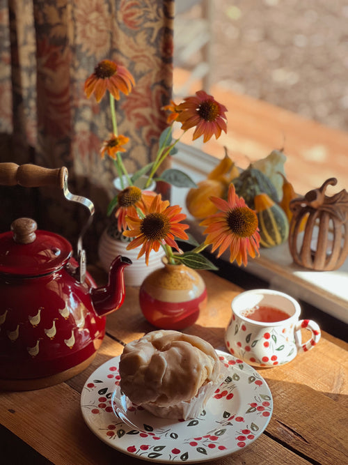 Vintage Cast Iron Enamel Goose Teapot