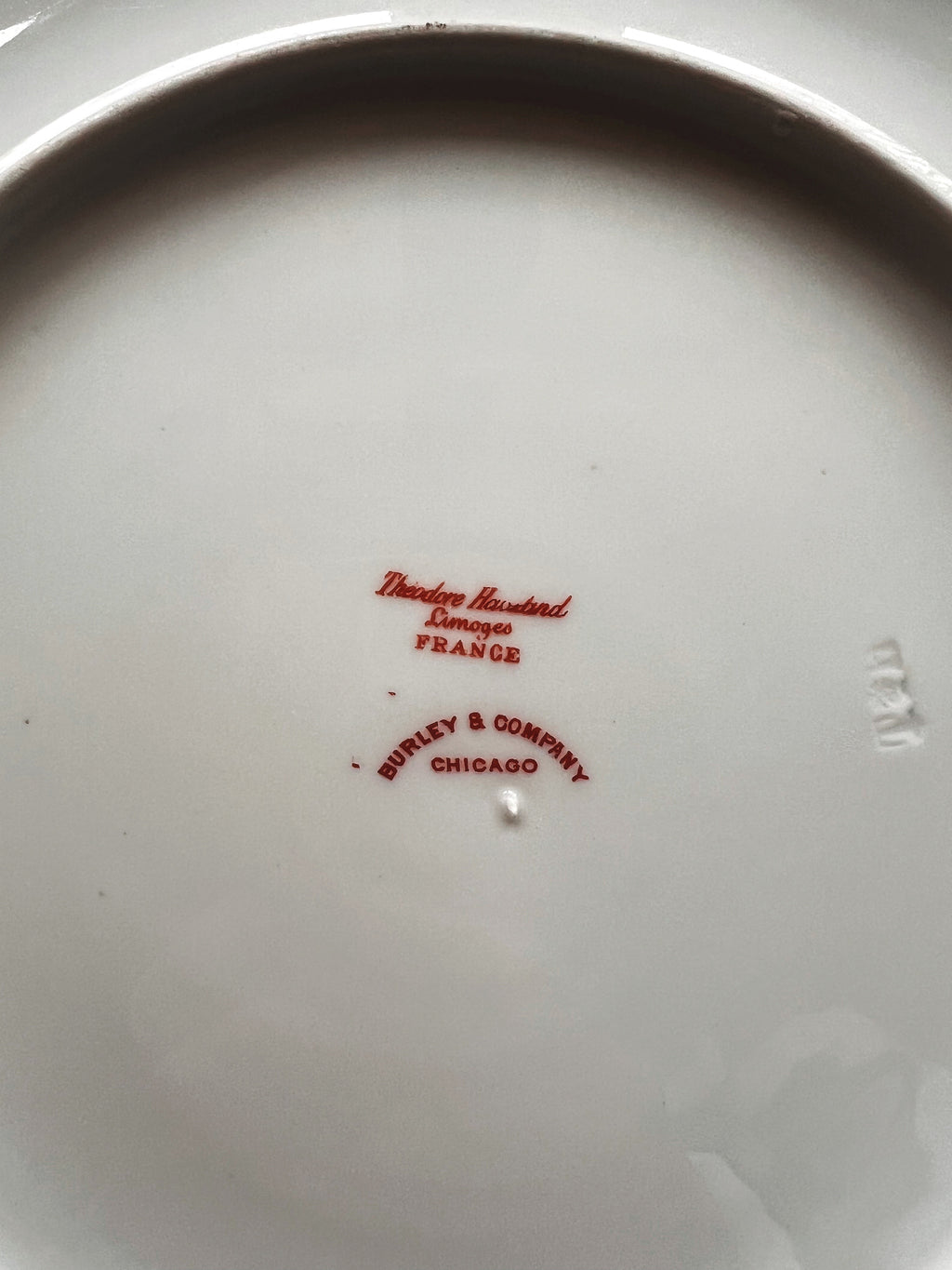 Antique Theodore Haviland Limoges for Burley & Company Chicago Set of 4 Dinner Plates